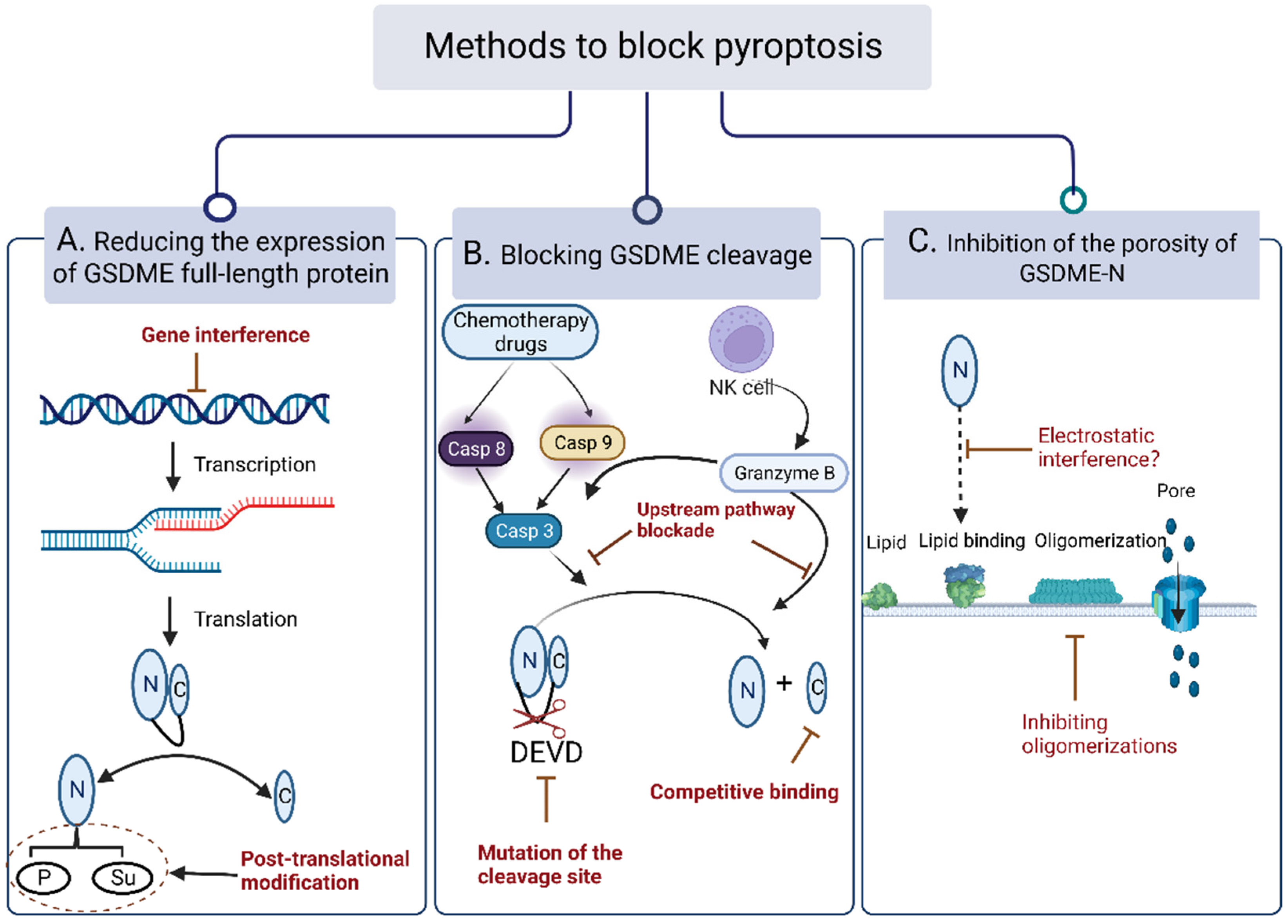 Cancers 15 00026 g009 Cancers 15 00026 g009