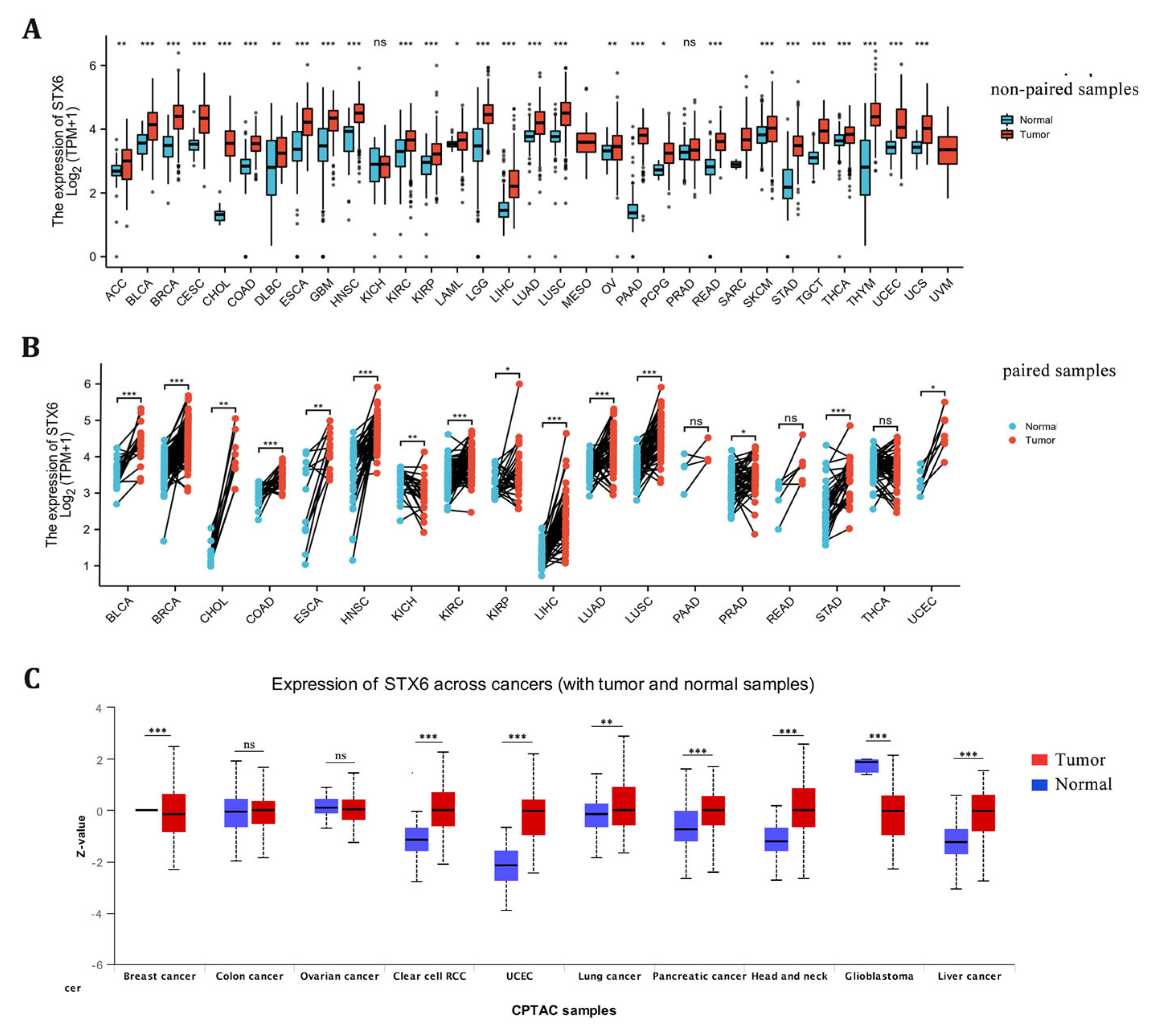Cancers 15 00027 g001