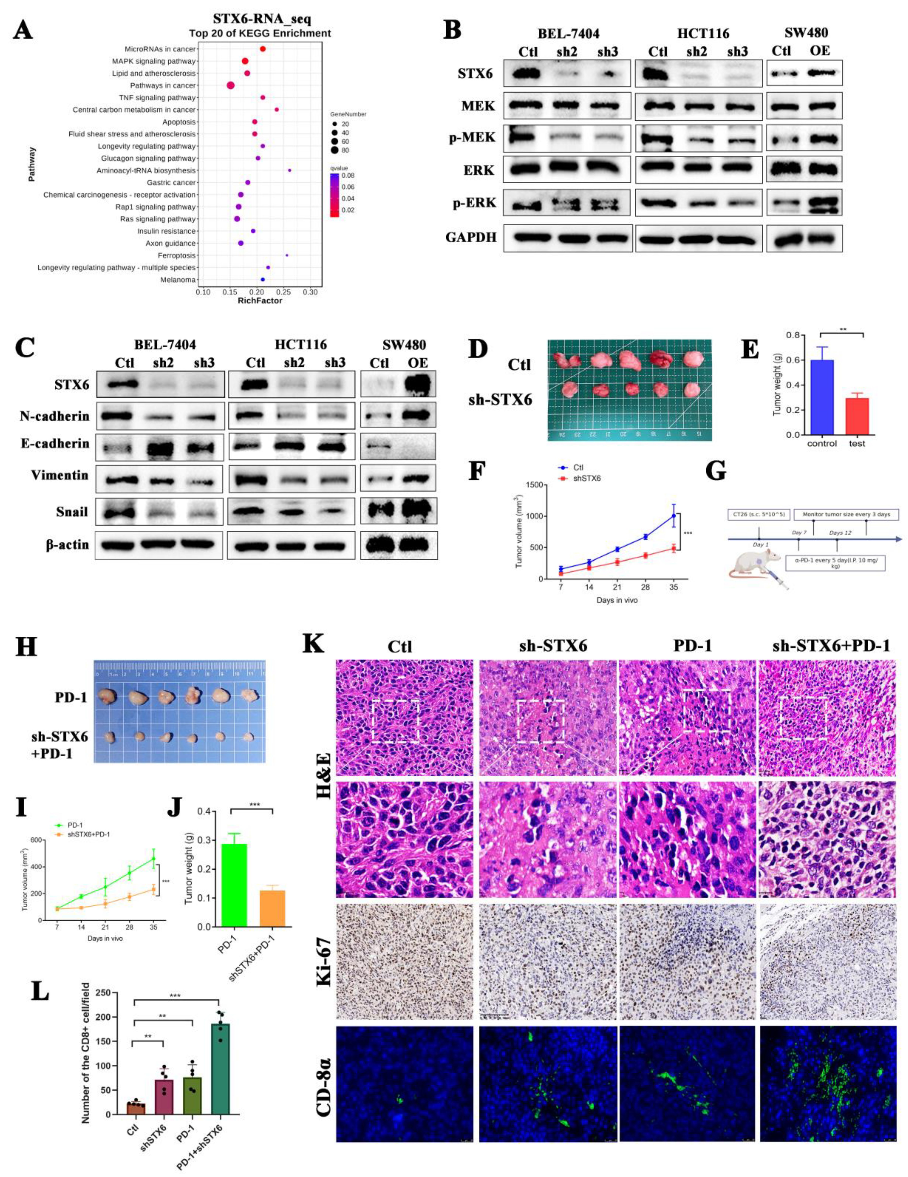 Cancers 15 00027 g008