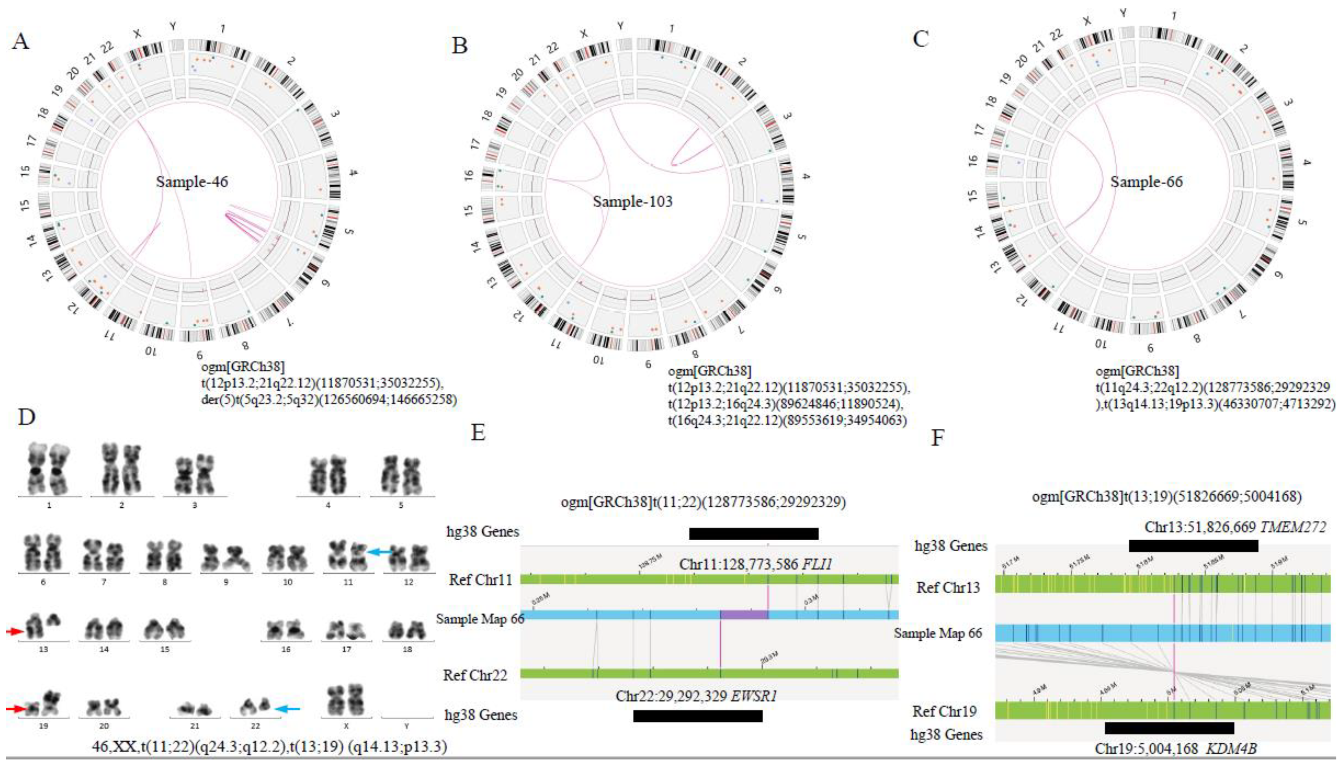 Cancers 15 00035 g004 Cancers 15 00035 g004