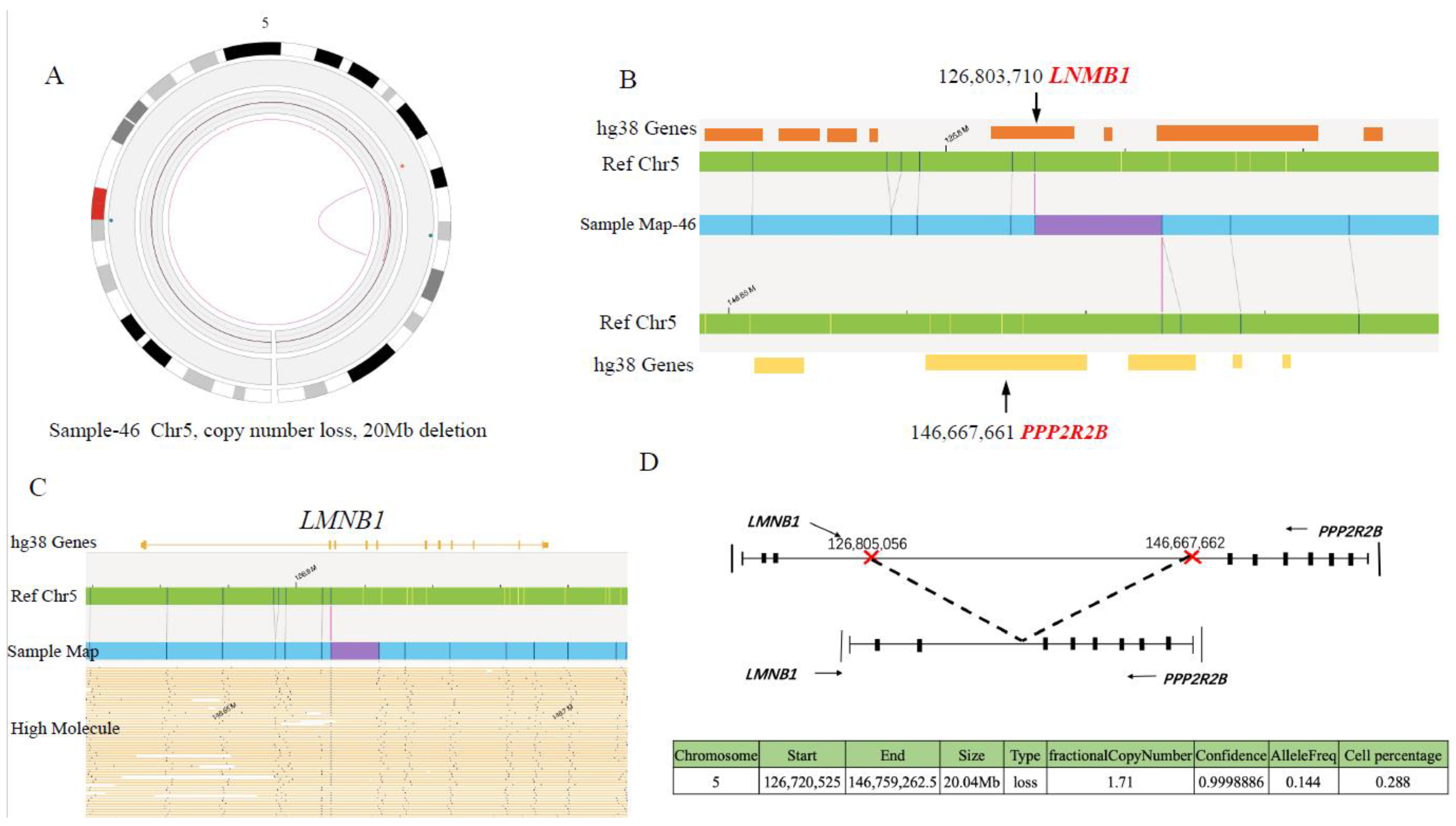 Cancers 15 00035 g008 Cancers 15 00035 g008