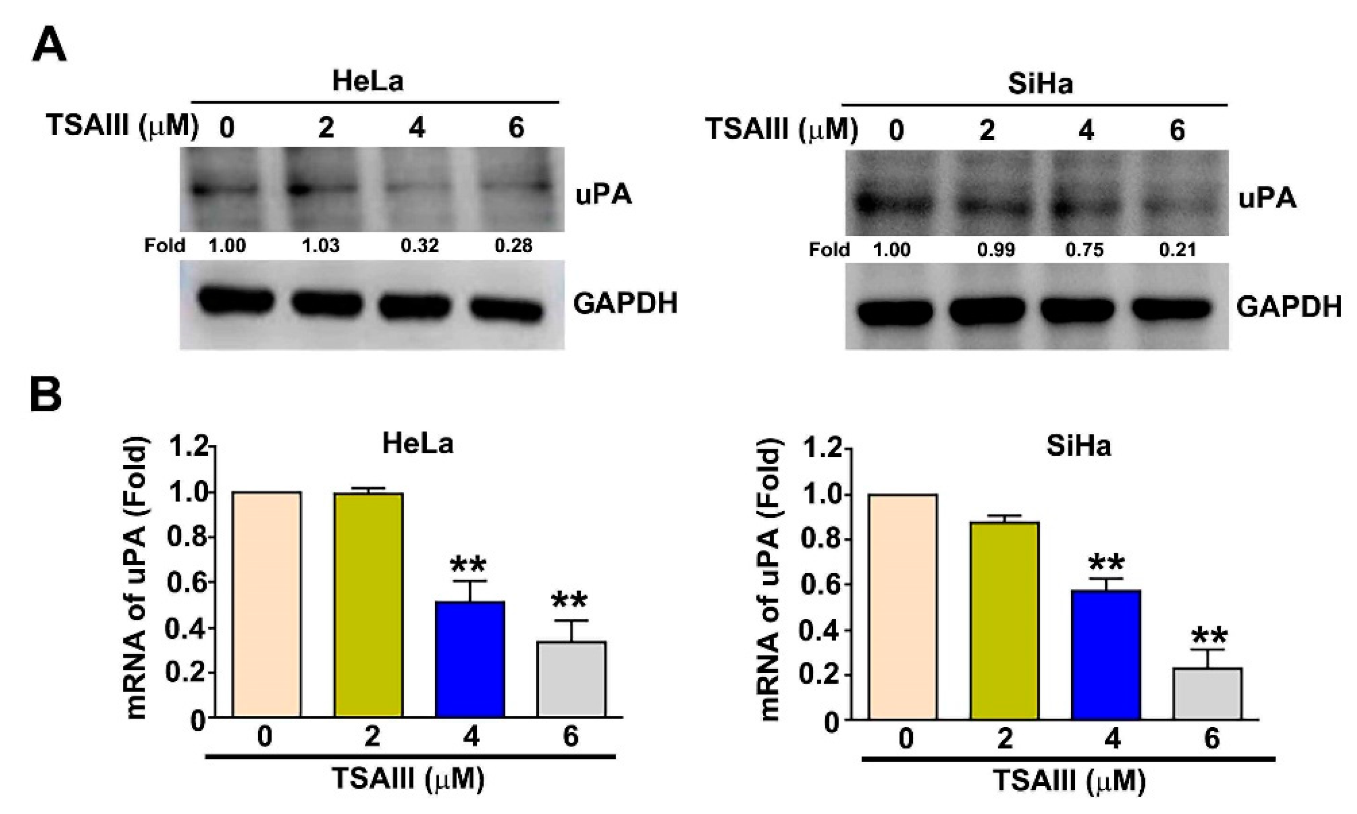 Cancers 15 00037 g004