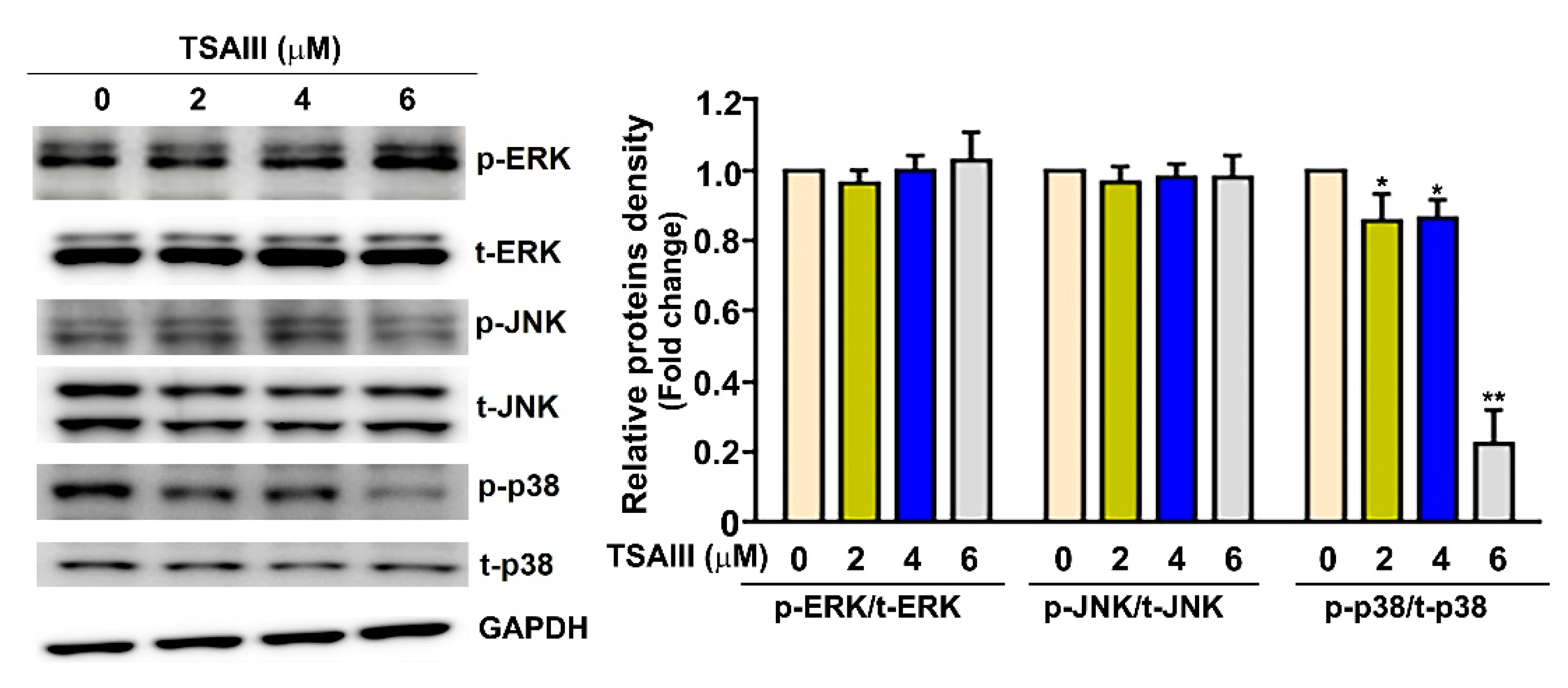 Cancers 15 00037 g005