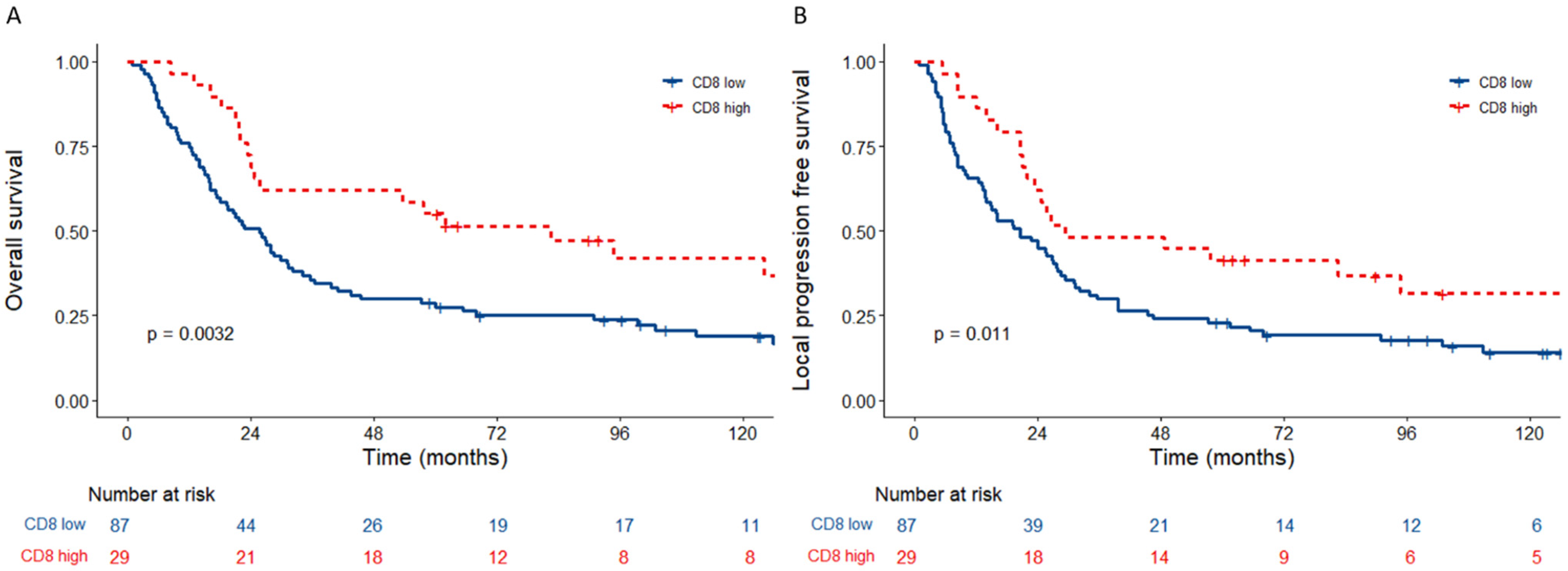 Cancers 15 00041 g001 Cancers 15 00041 g001