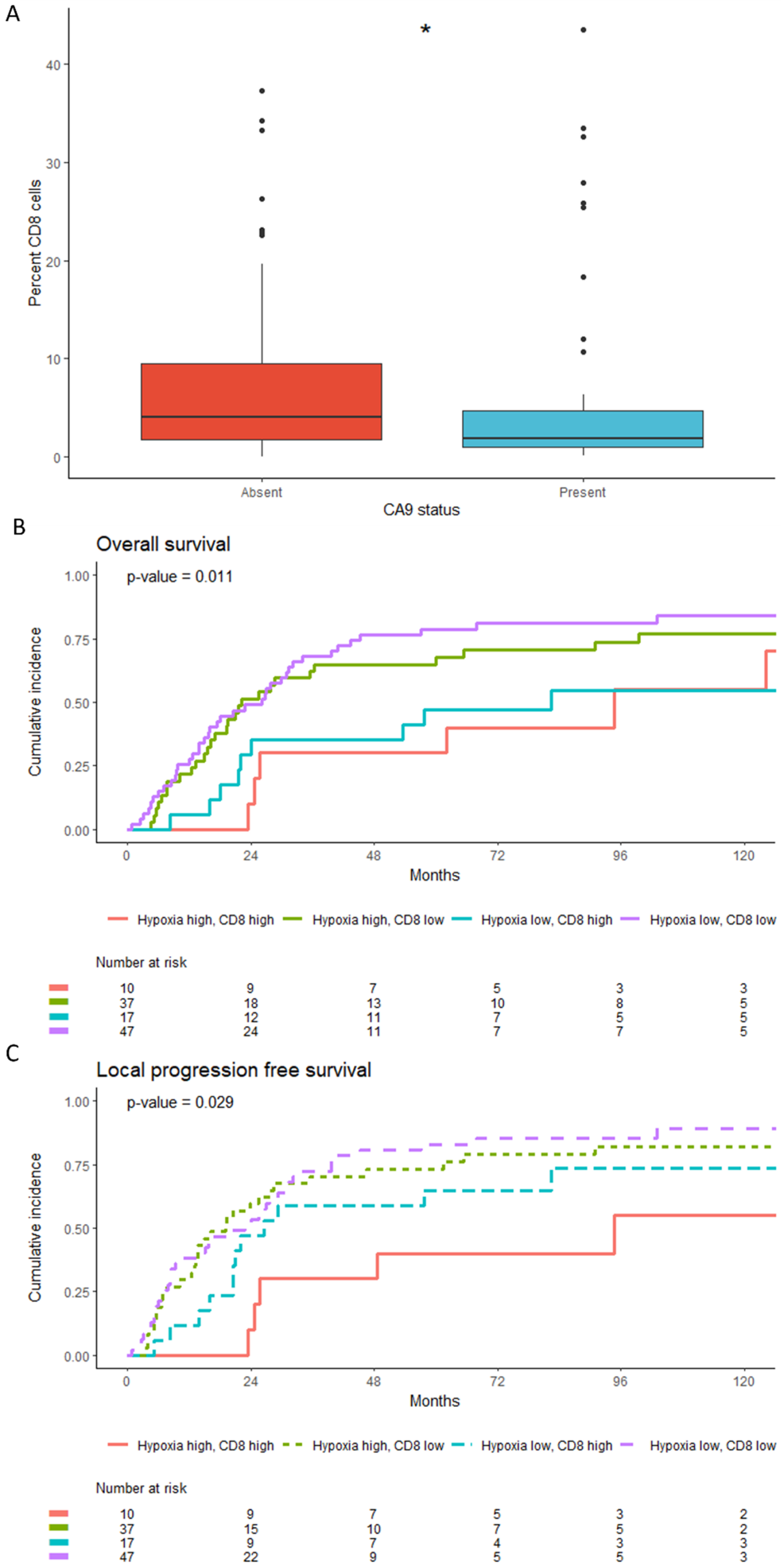 Cancers 15 00041 g004 Cancers 15 00041 g004