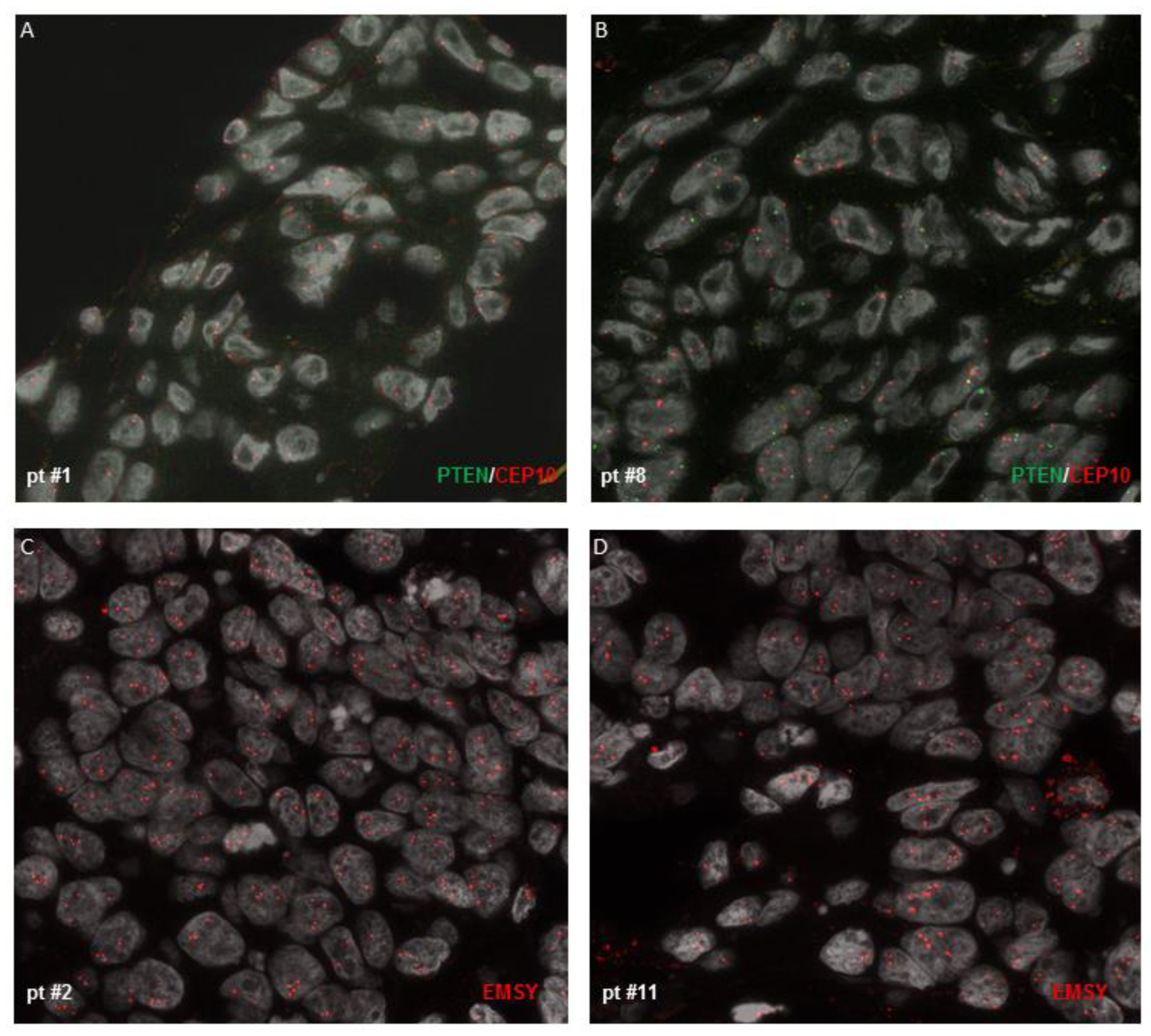 Cancers 15 00043 g002 Cancers 15 00043 g002