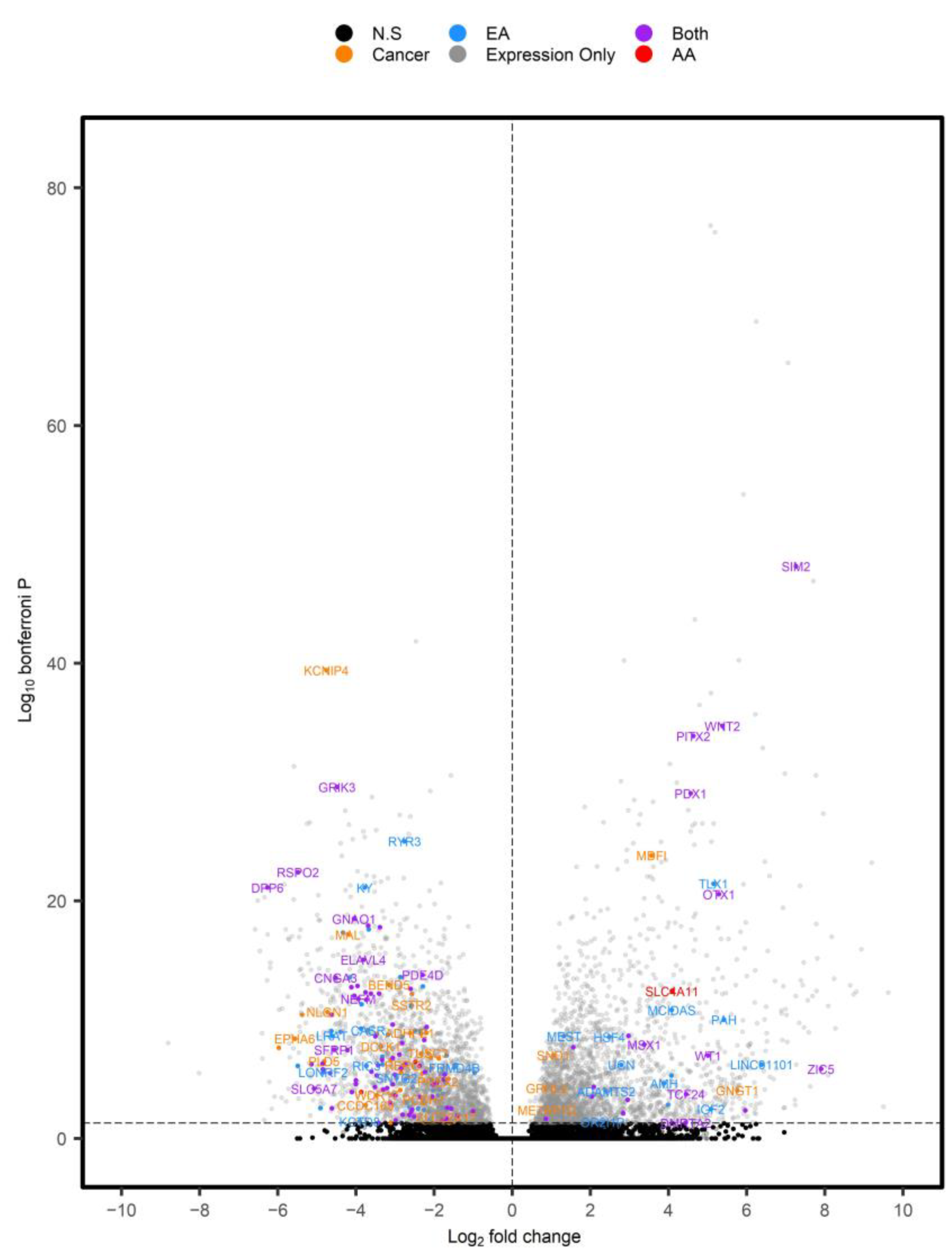 Cancers 15 00045 g005 Cancers 15 00045 g005