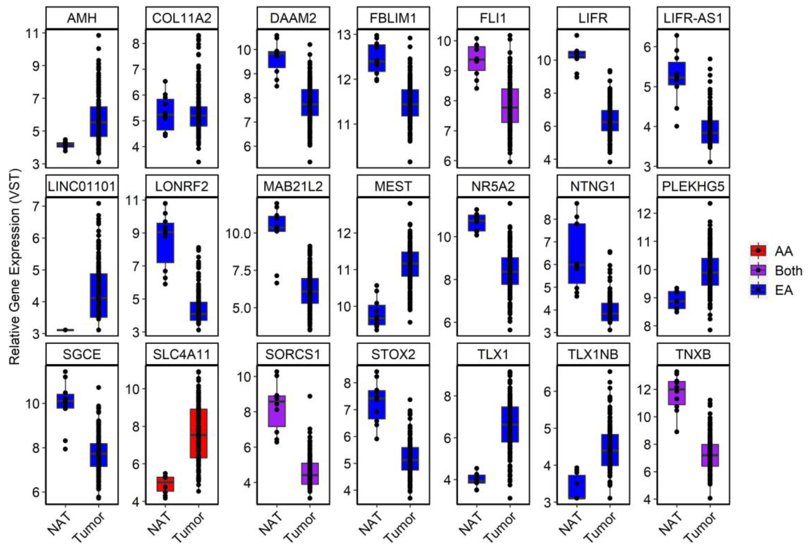 Cancers 15 00045 g006 Cancers 15 00045 g006