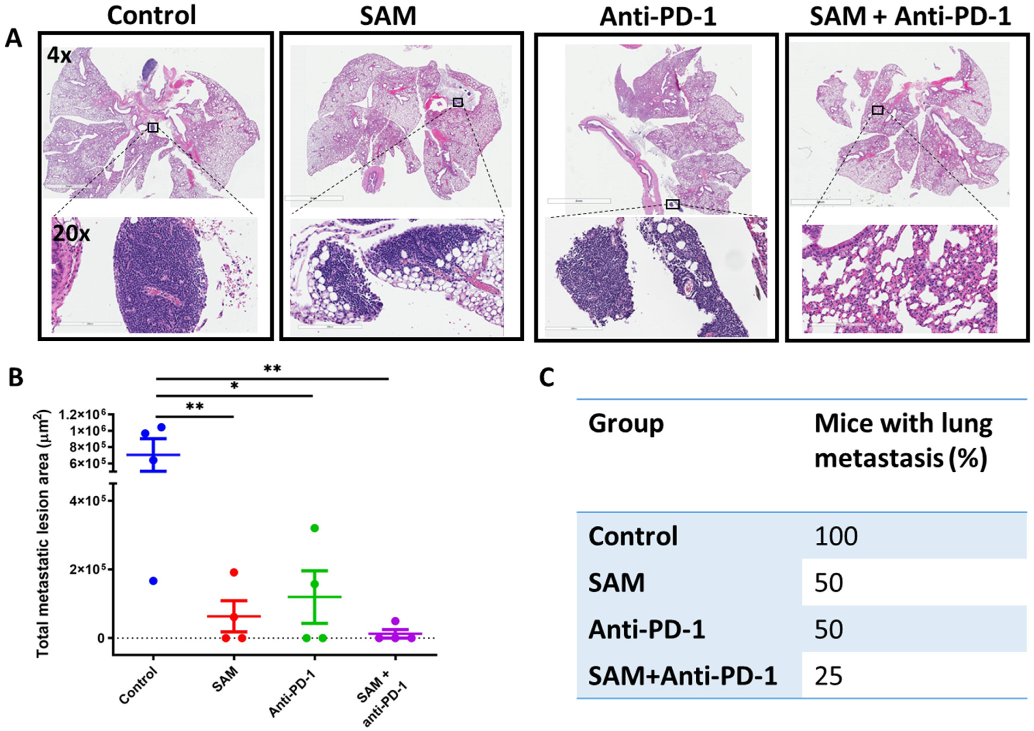 Cancers 15 00048 g004