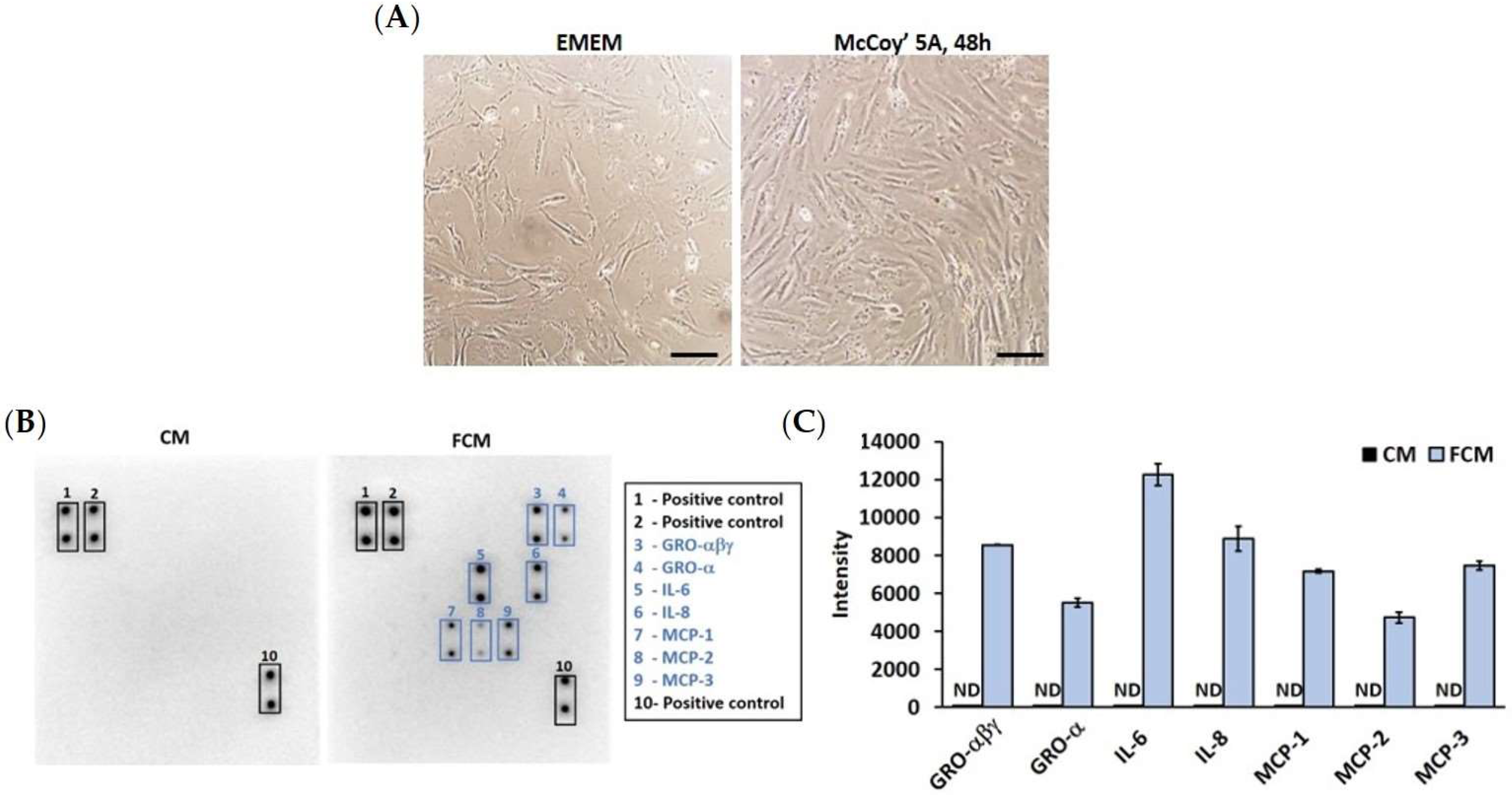 Cancers 15 00056 g001 Cancers 15 00056 g001