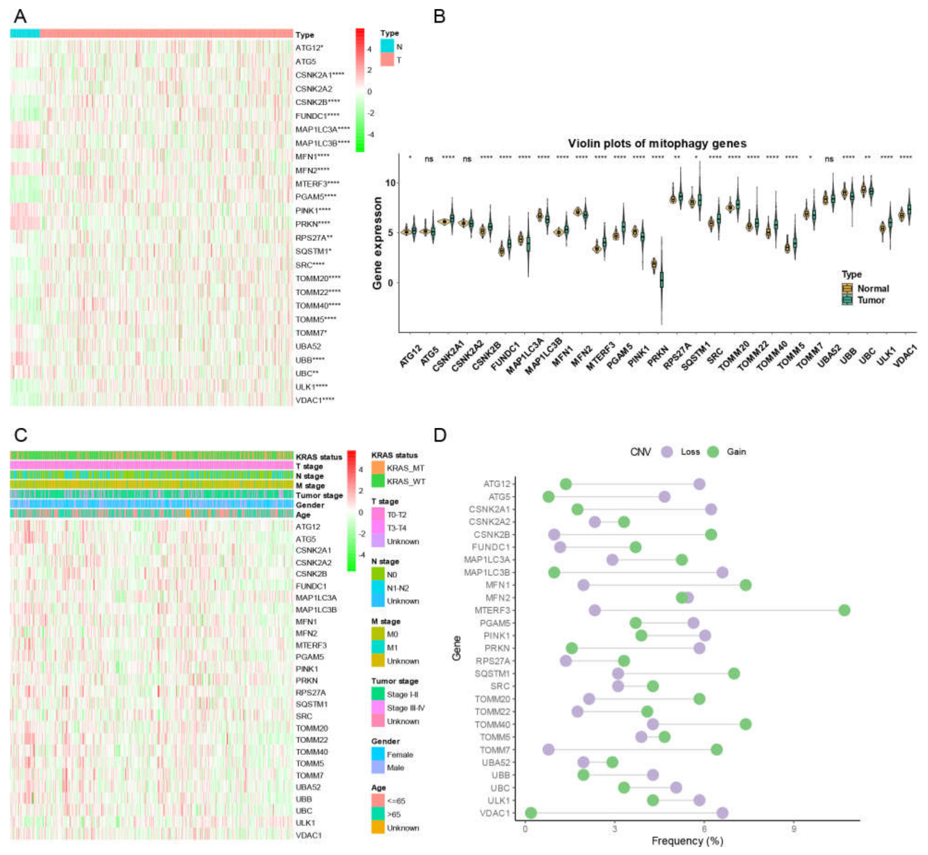Cancers 15 00057 g001 Cancers 15 00057 g001