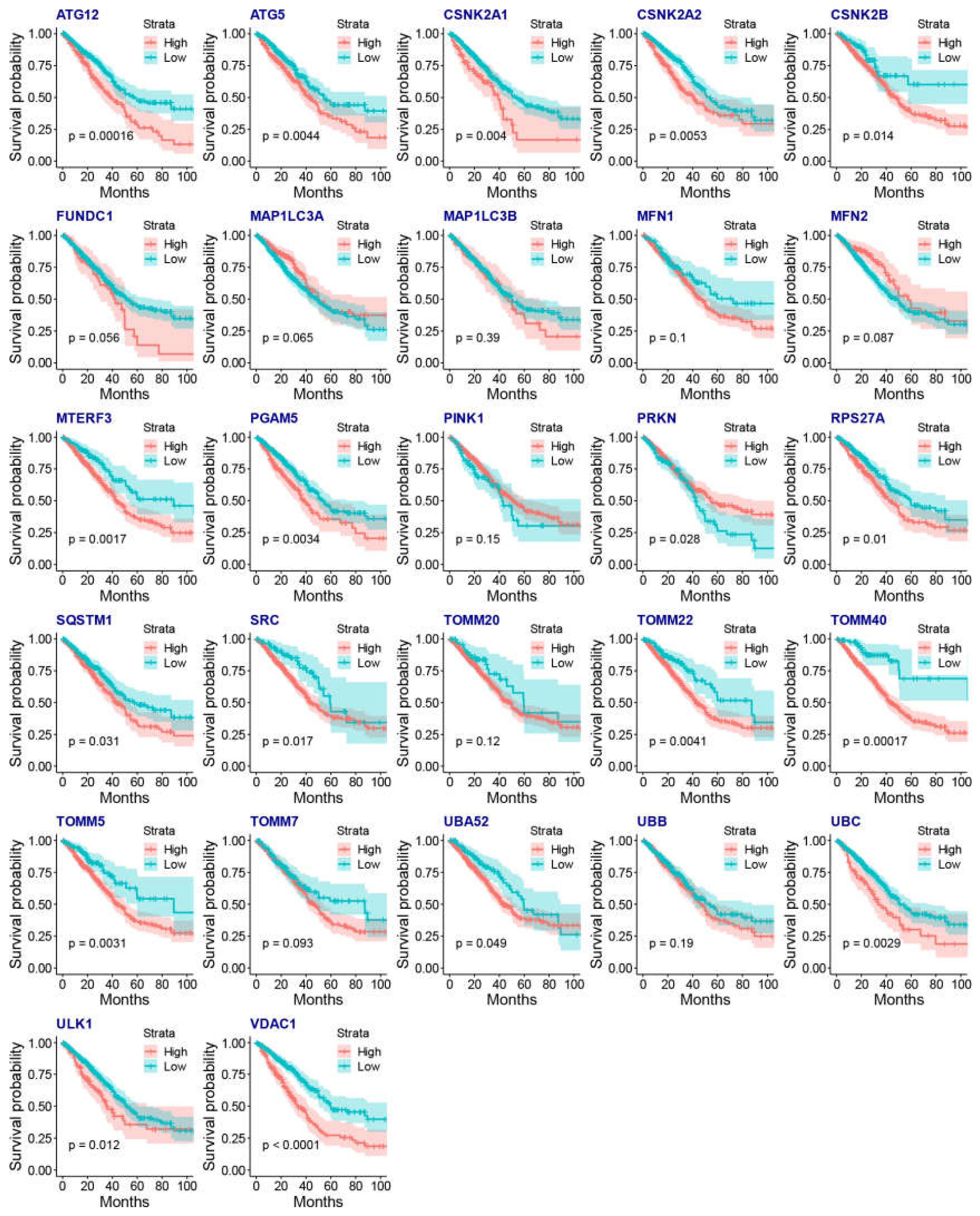 Cancers 15 00057 g004 Cancers 15 00057 g004