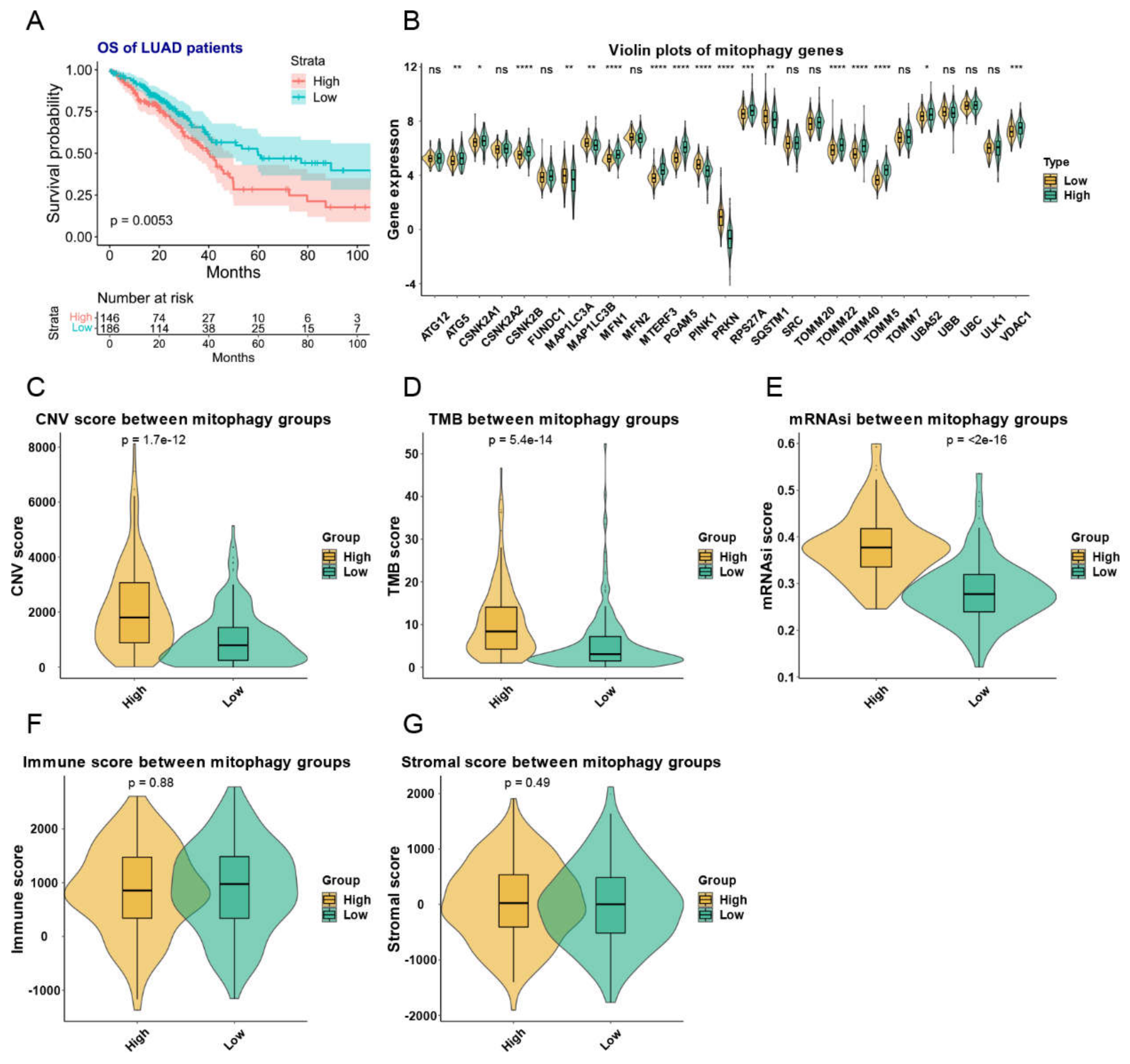 Cancers 15 00057 g005 Cancers 15 00057 g005