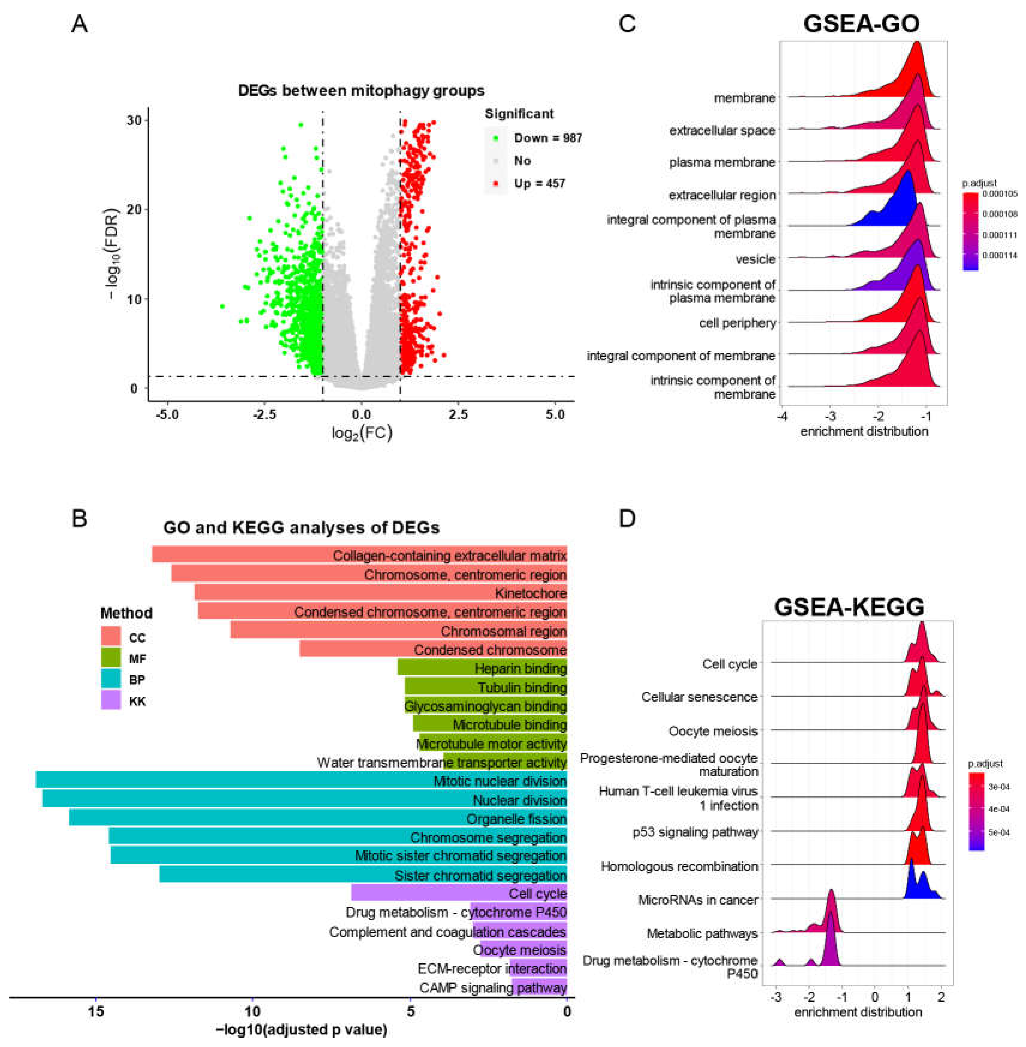 Cancers 15 00057 g008 Cancers 15 00057 g008