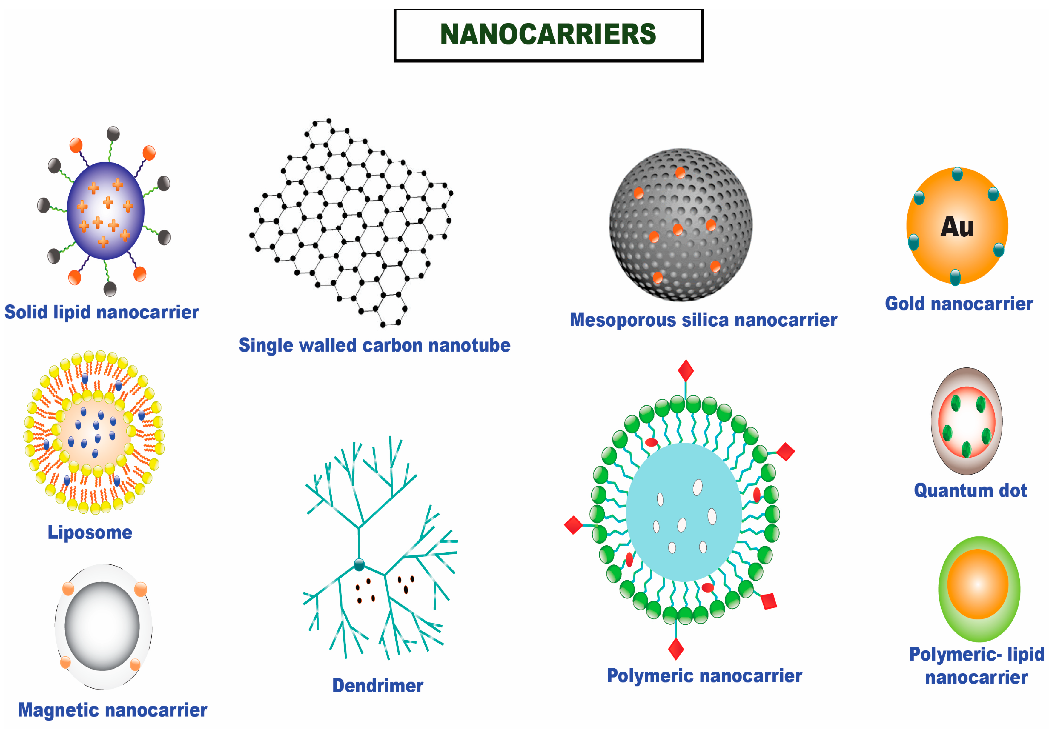 Cancers 15 00065 g001 Cancers 15 00065 g001