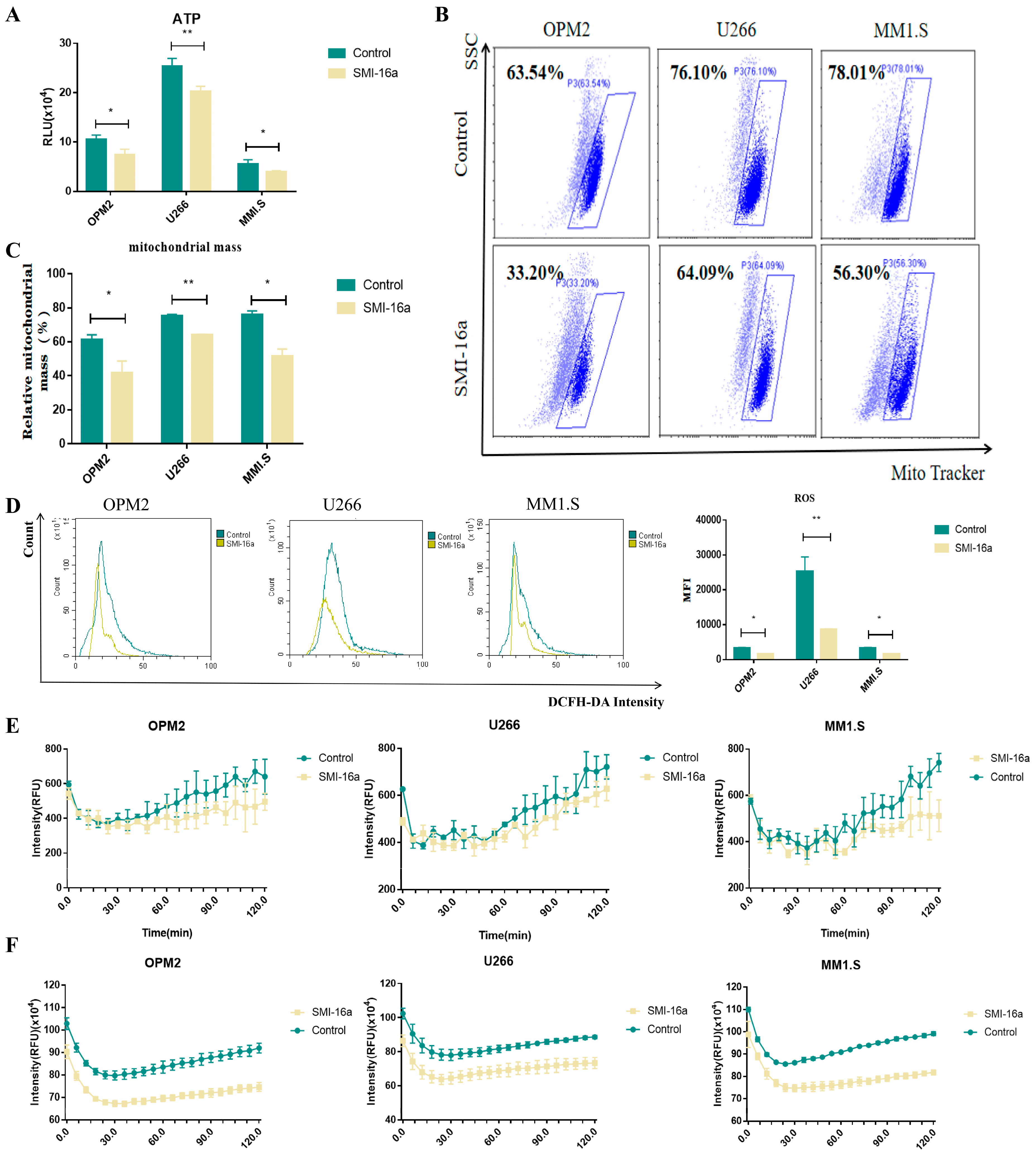 Cancers 15 00067 g004 Cancers 15 00067 g004
