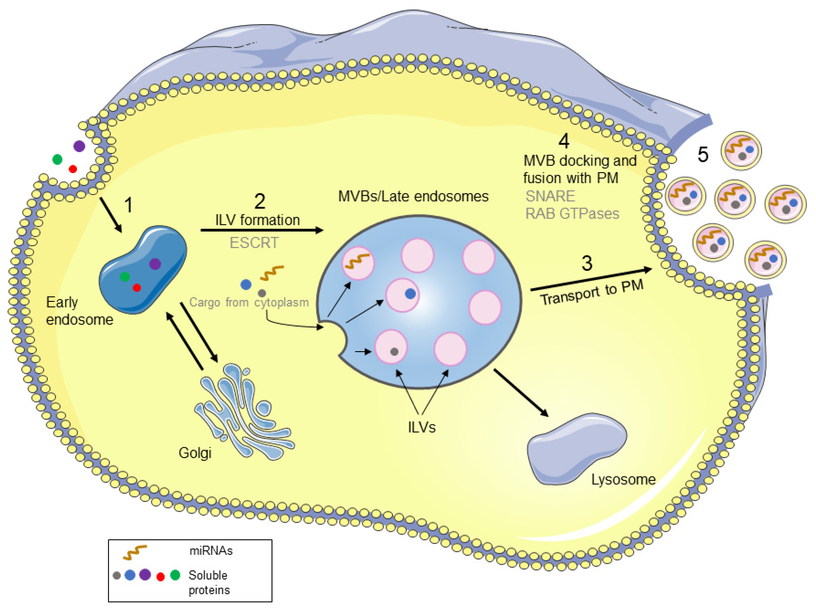 Cancers 15 00080 g001 Cancers 15 00080 g001