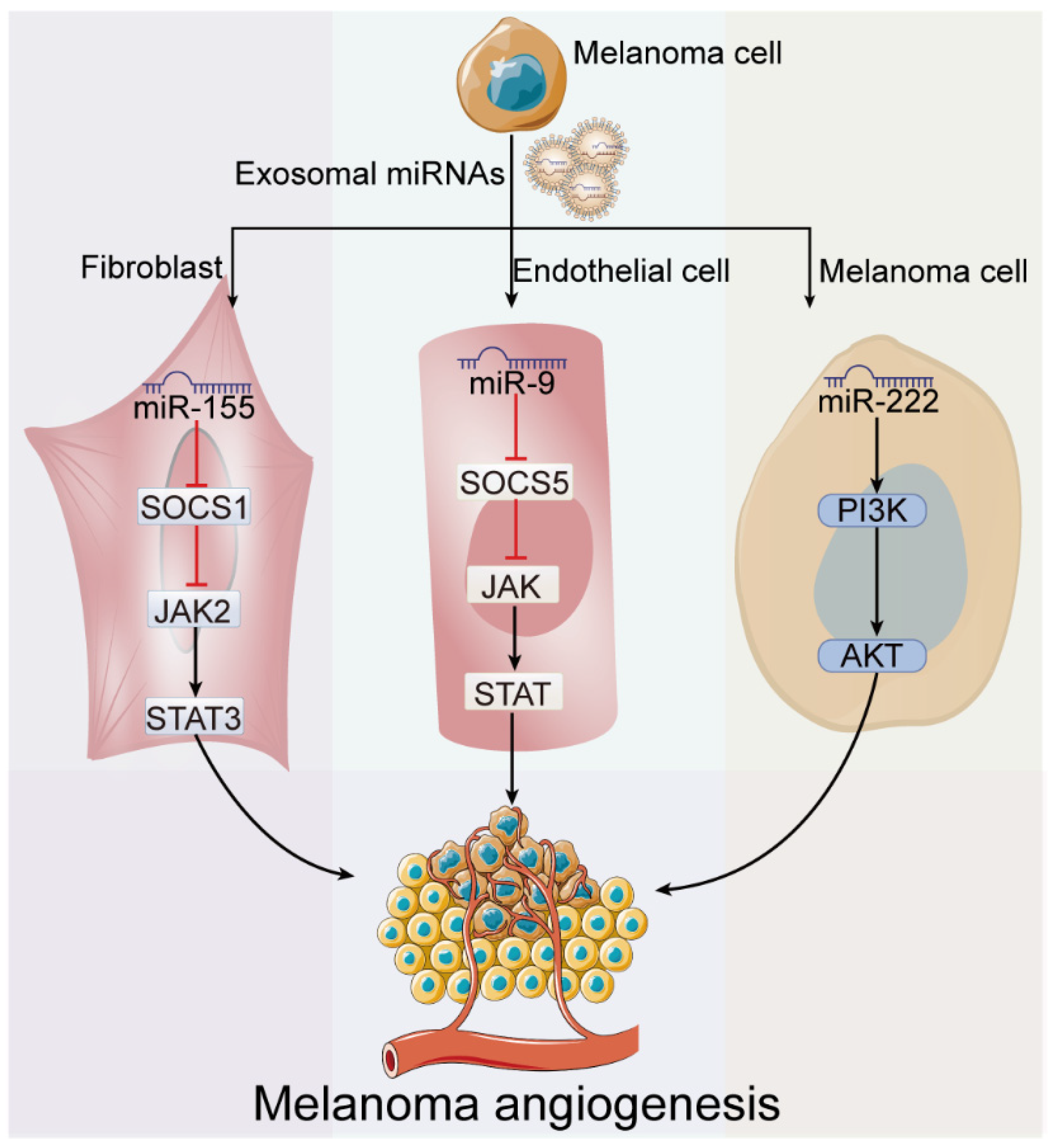 Cancers 15 00080 g005 Cancers 15 00080 g005