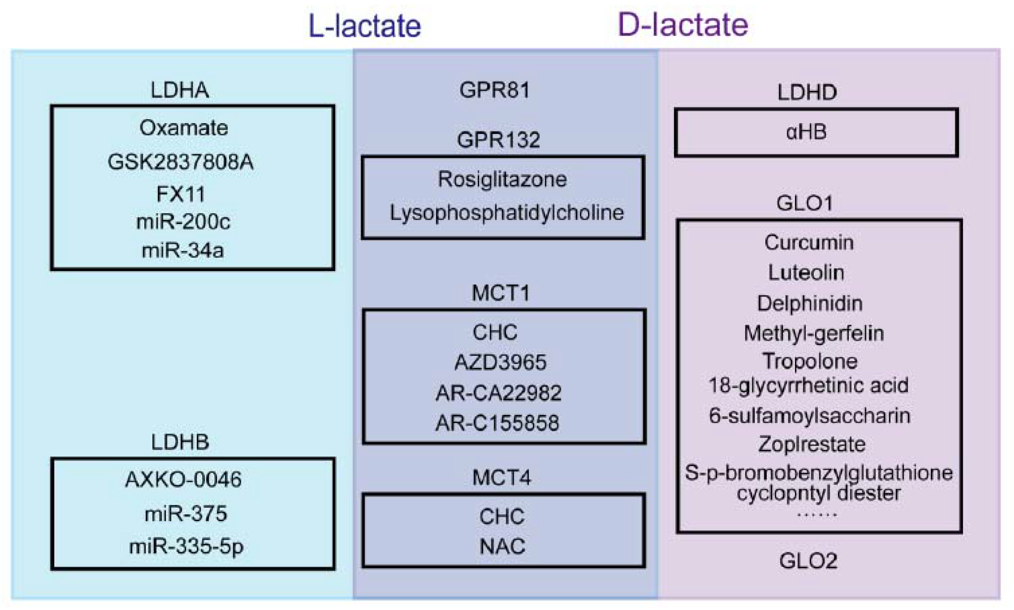 Cancers 15 00087 g002 Cancers 15 00087 g002