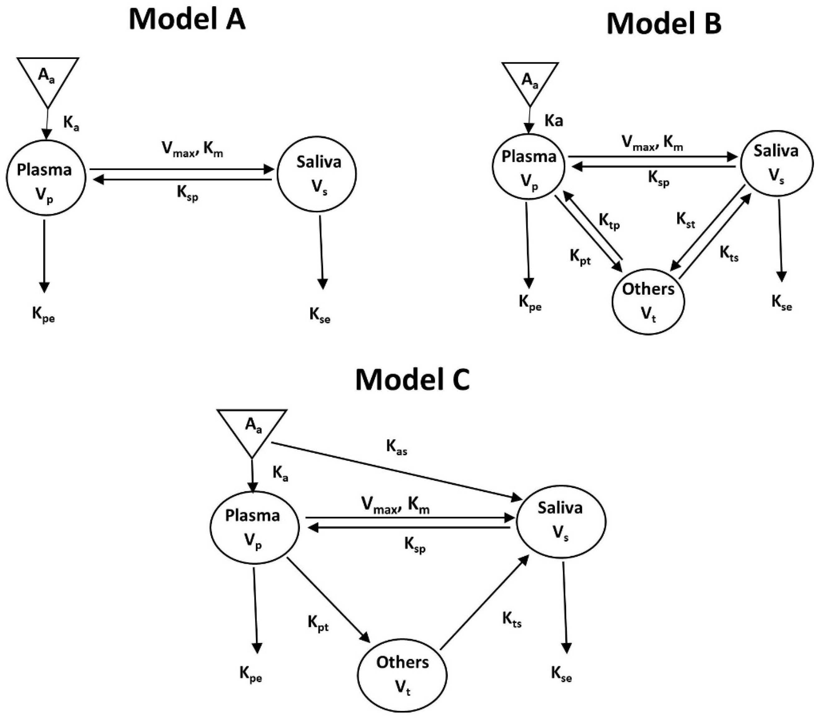 Cancers 15 00089 g004