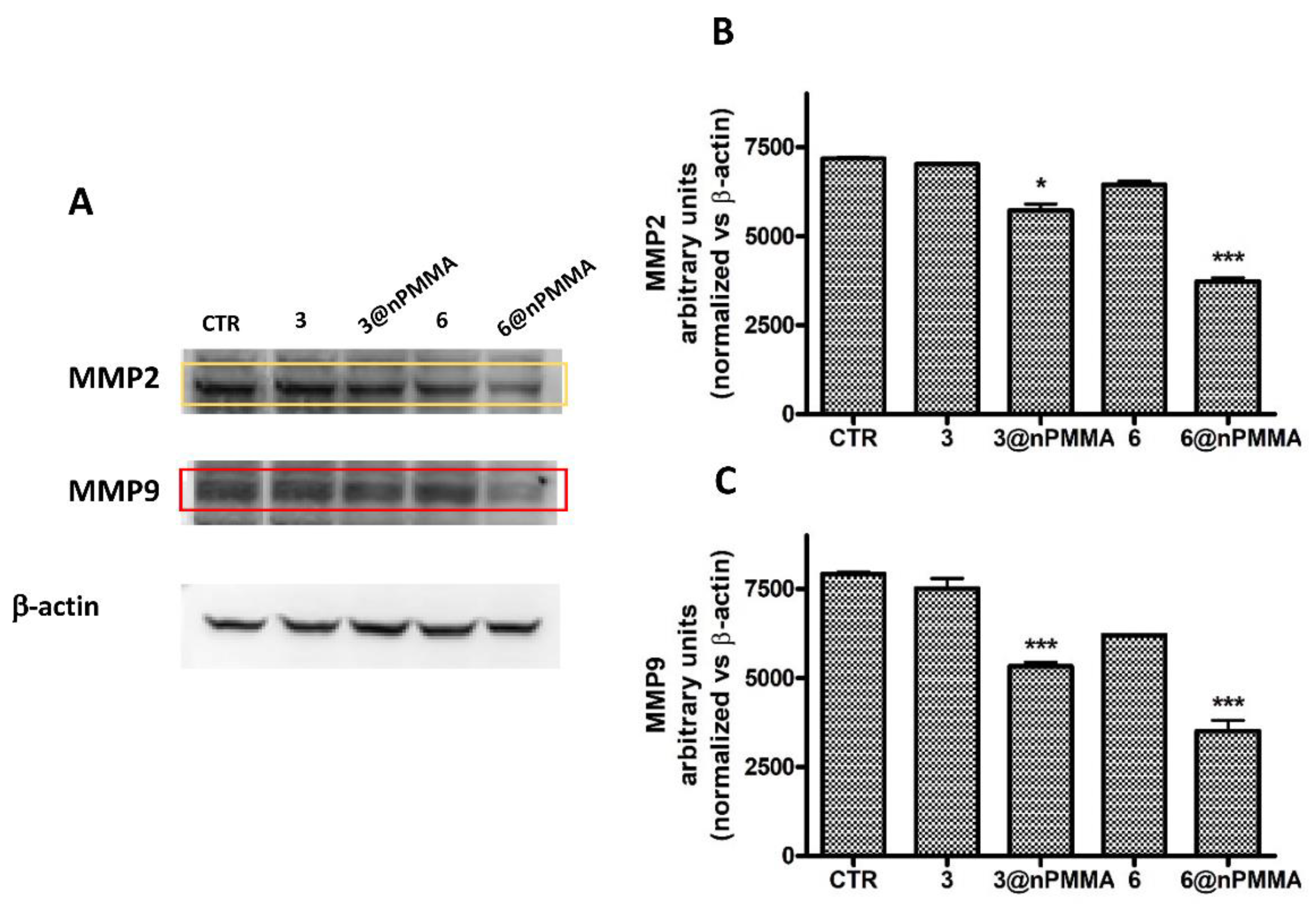 Cancers 15 00092 g007 Cancers 15 00092 g007