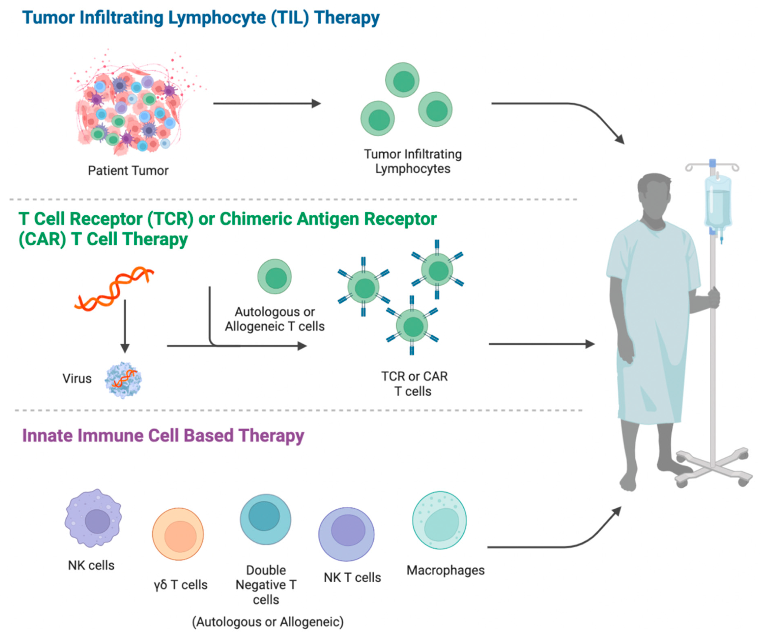 adoptive t cell therapy for ovarian cancer