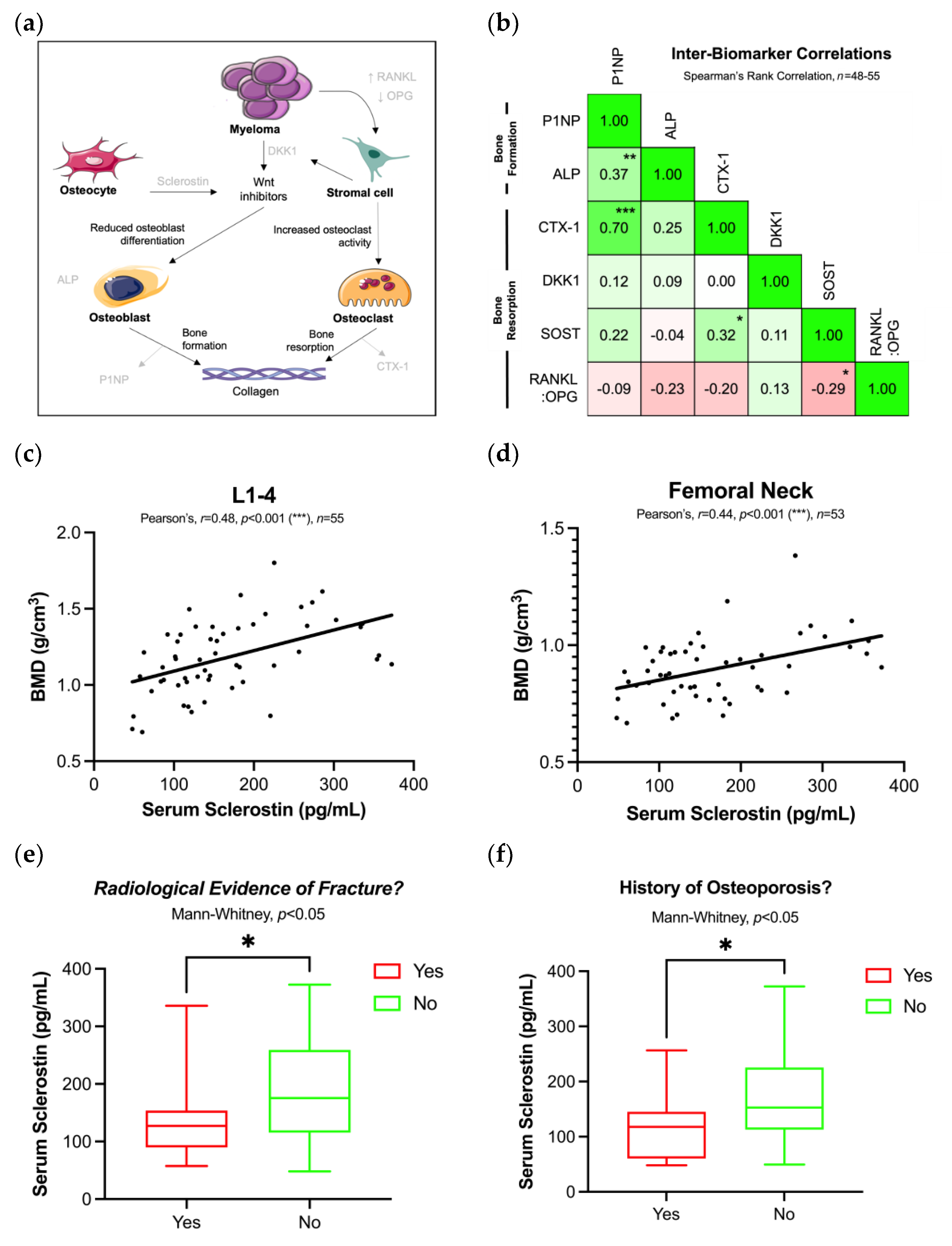 Cancers 15 00095 g001 Cancers 15 00095 g001