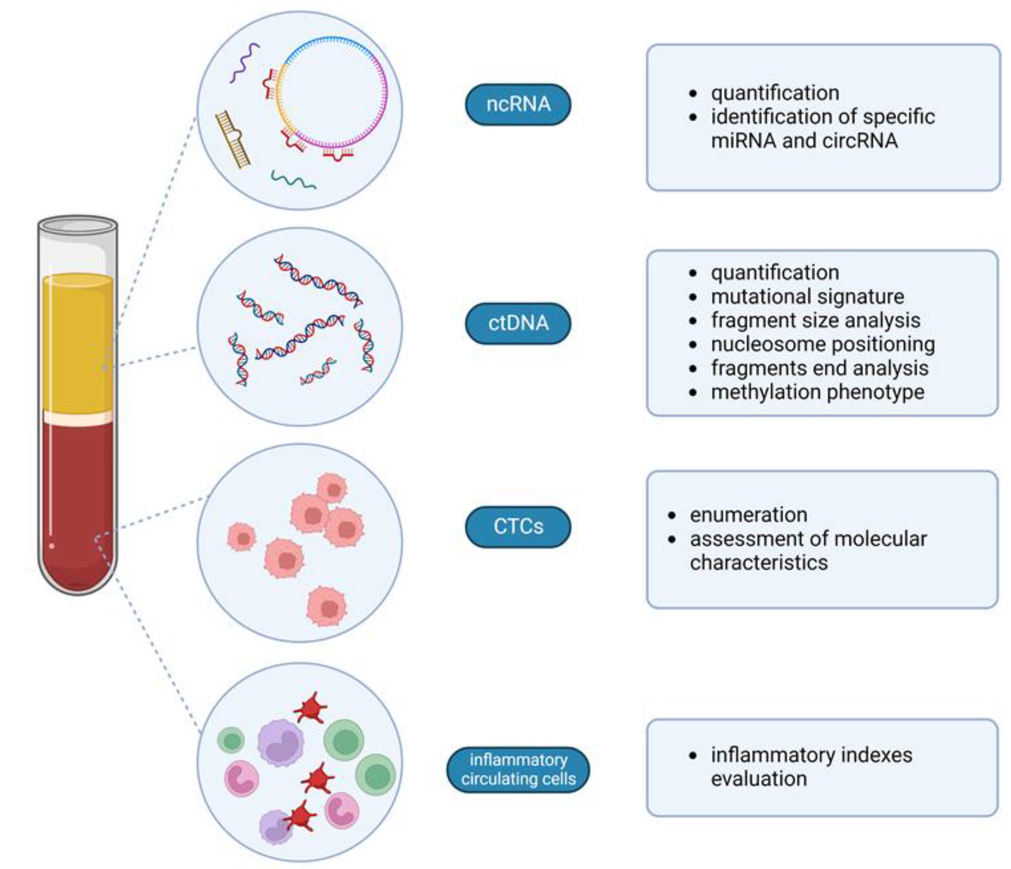 Cancers 15 00096 g002 Cancers 15 00096 g002