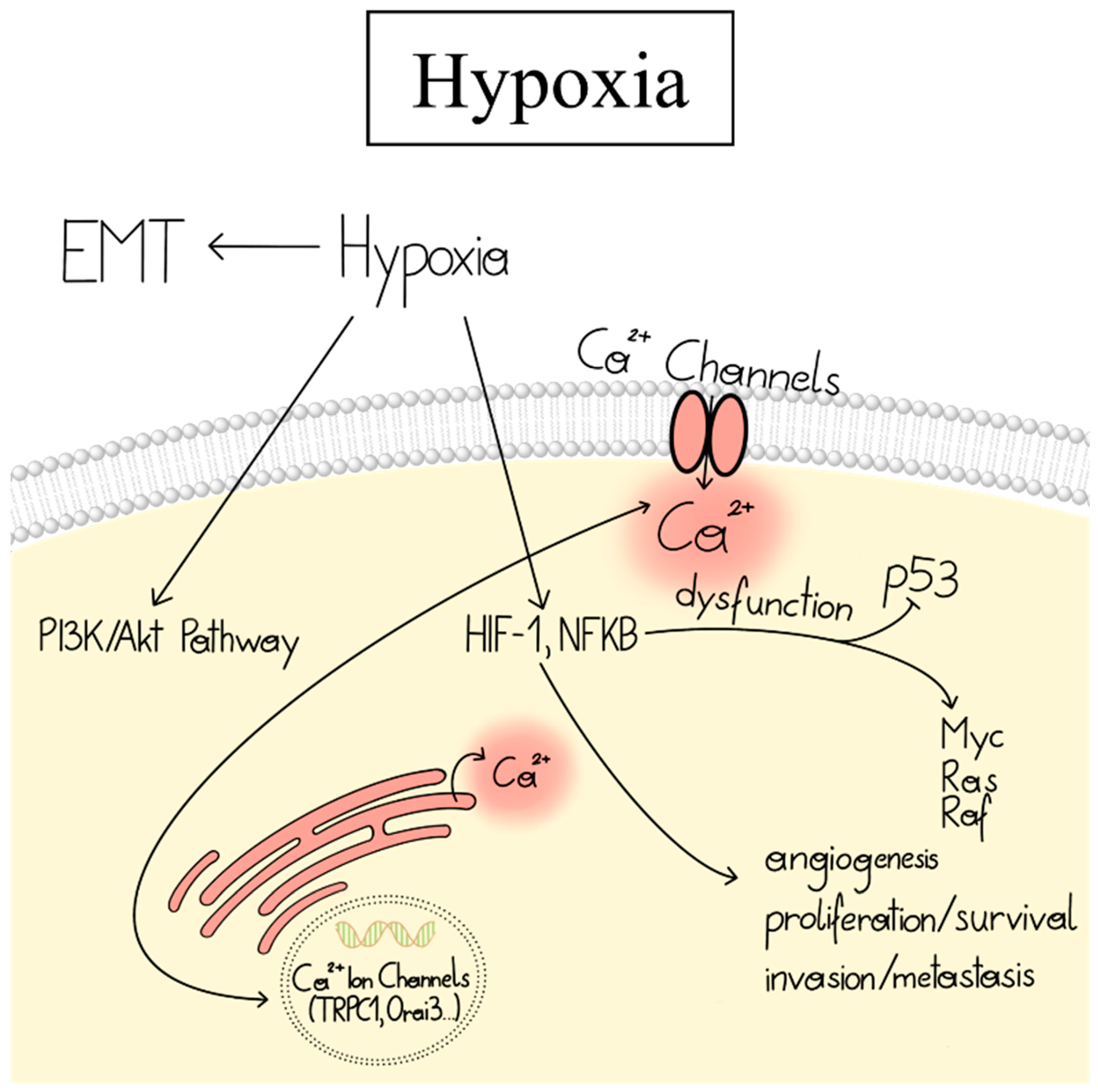 Cancers 15 00101 g002