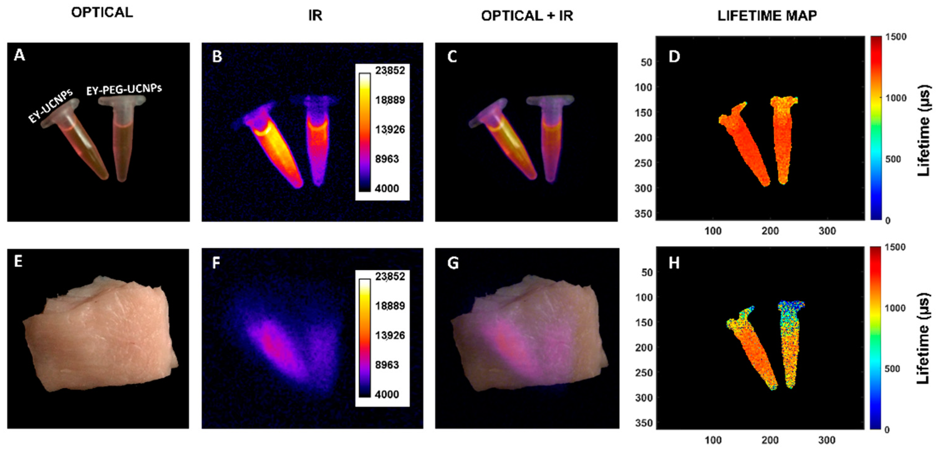 Cancers 15 00102 g007