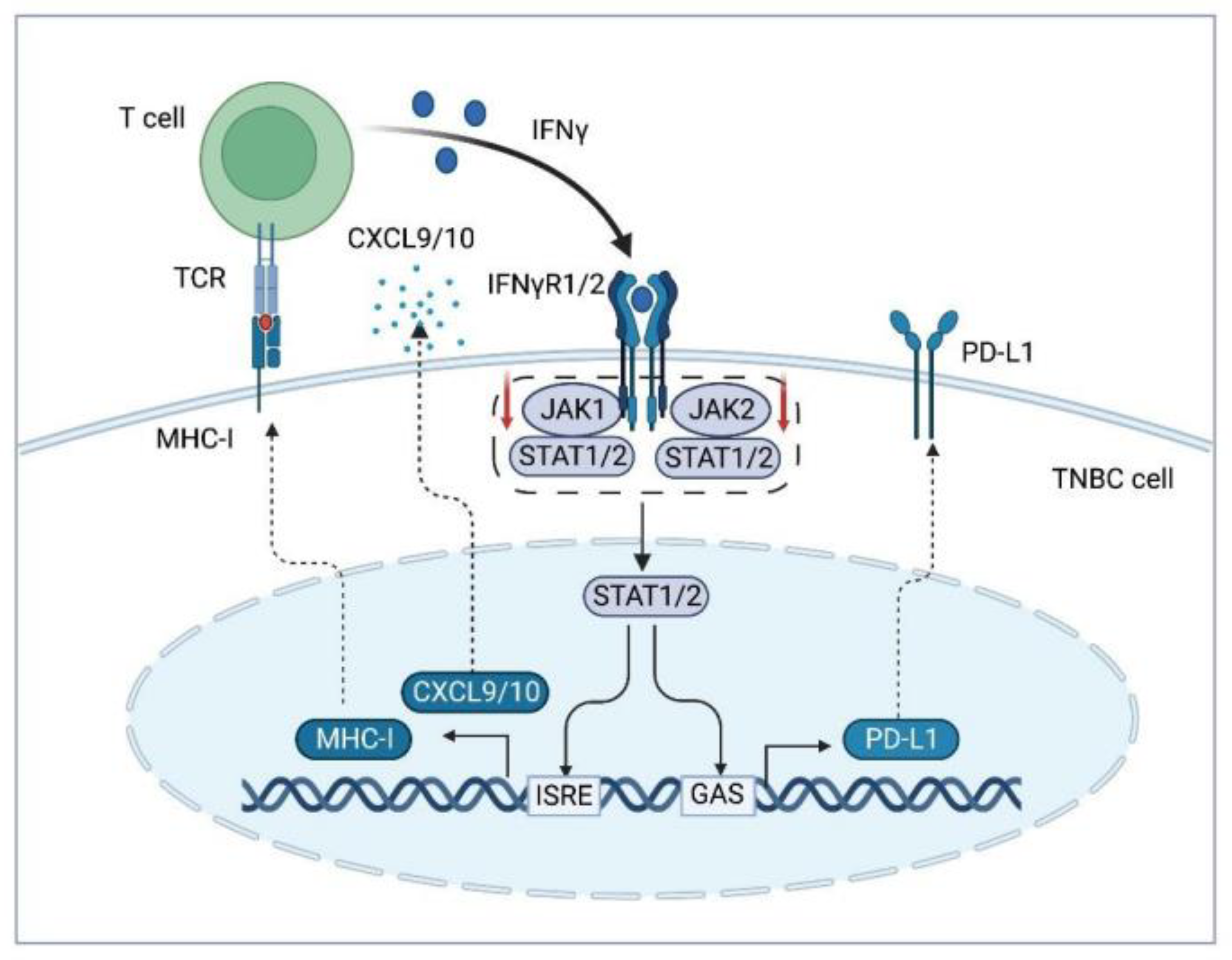 Cancers 15 00104 g003 Cancers 15 00104 g003
