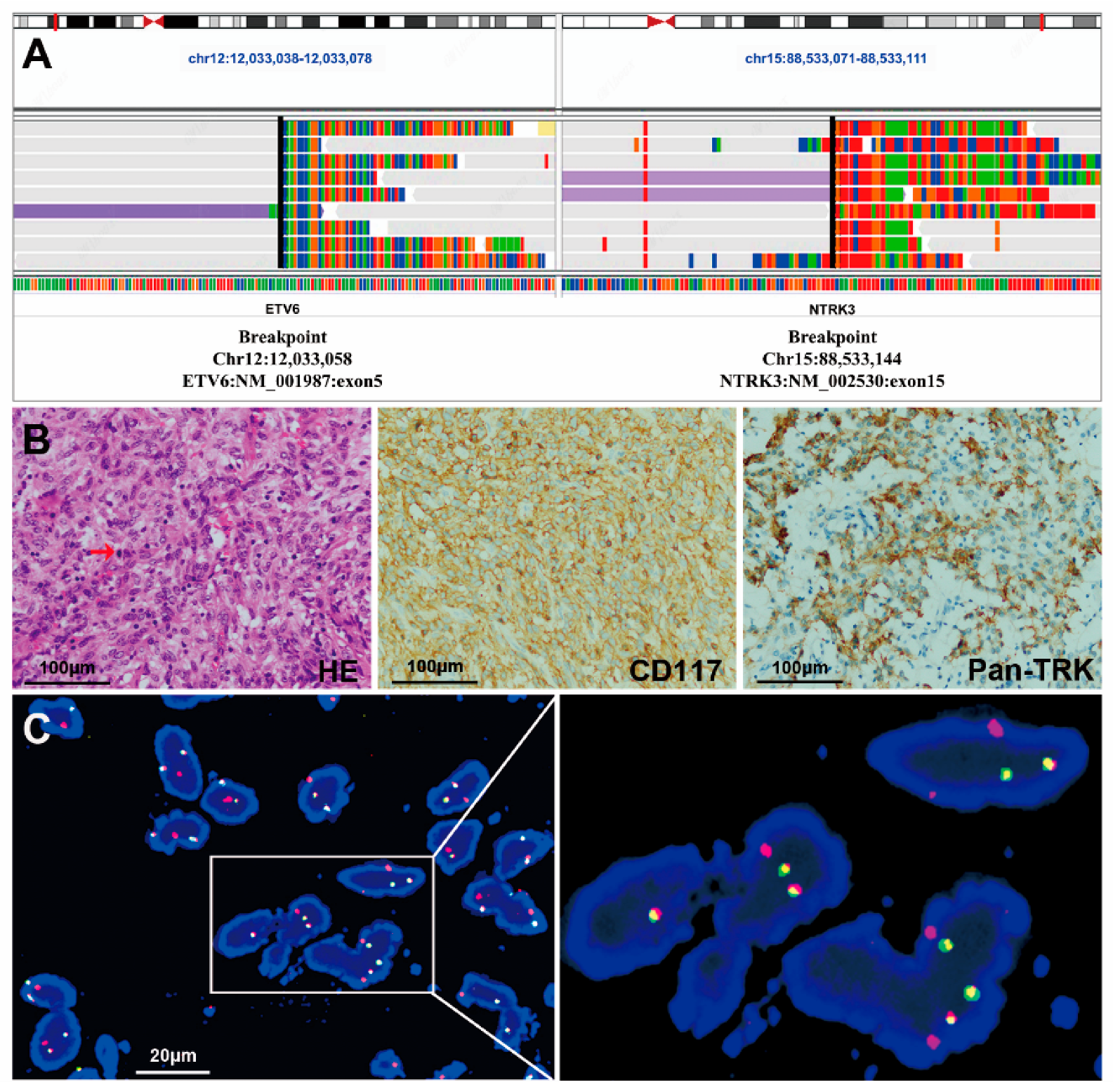 Cancers 15 00105 g002