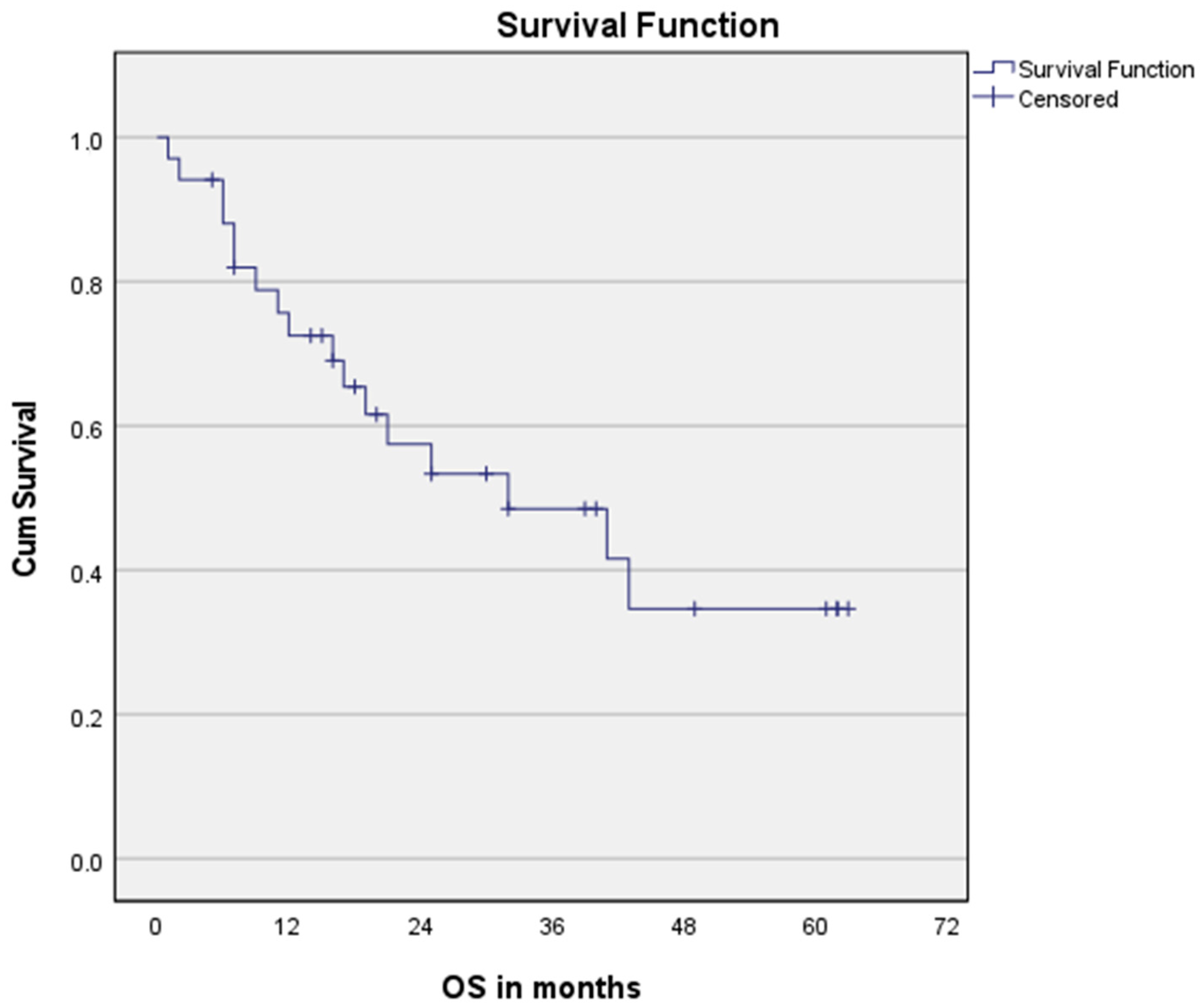 Cancers 15 00106 g001