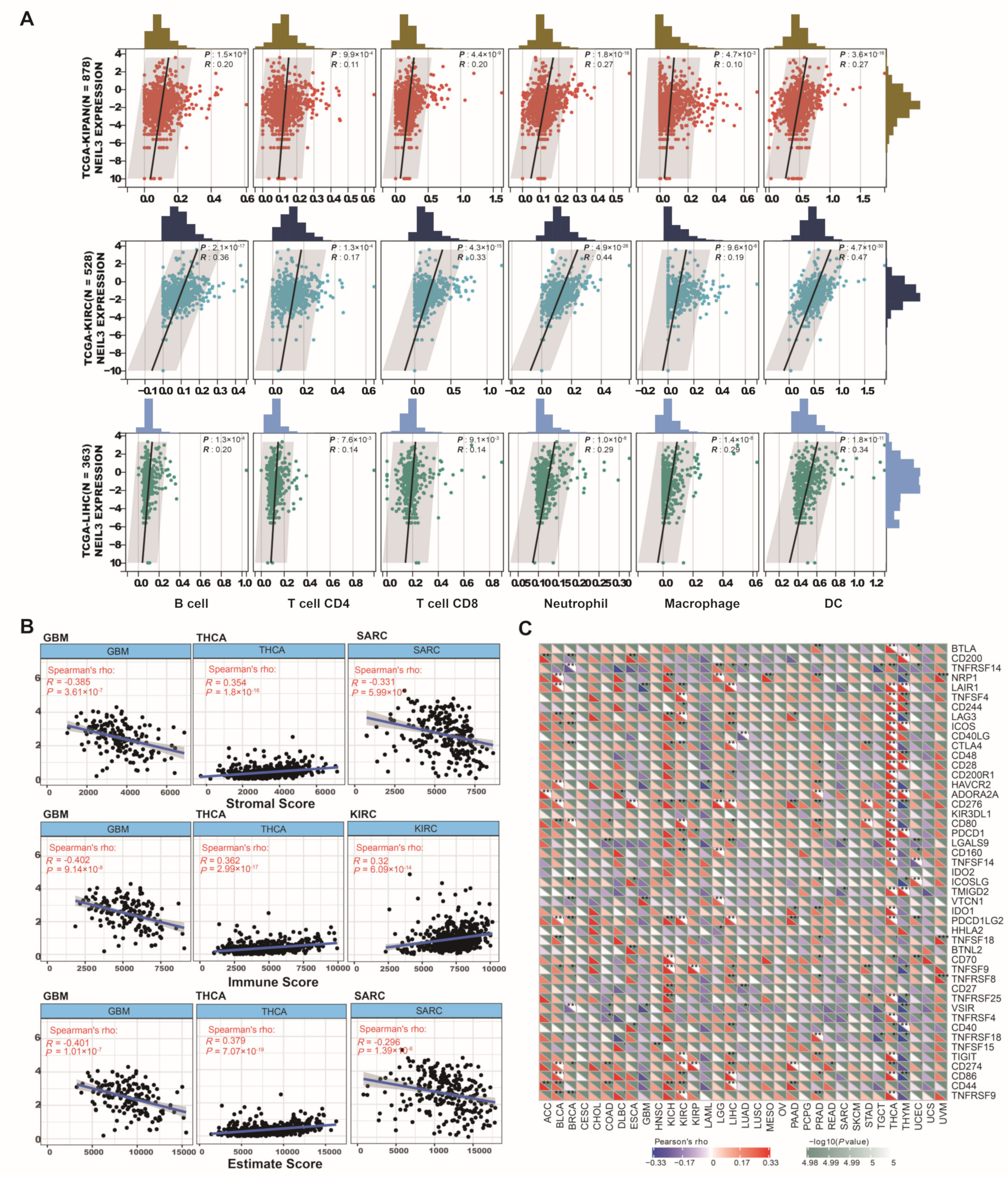 Cancers 15 00109 g006 Cancers 15 00109 g006