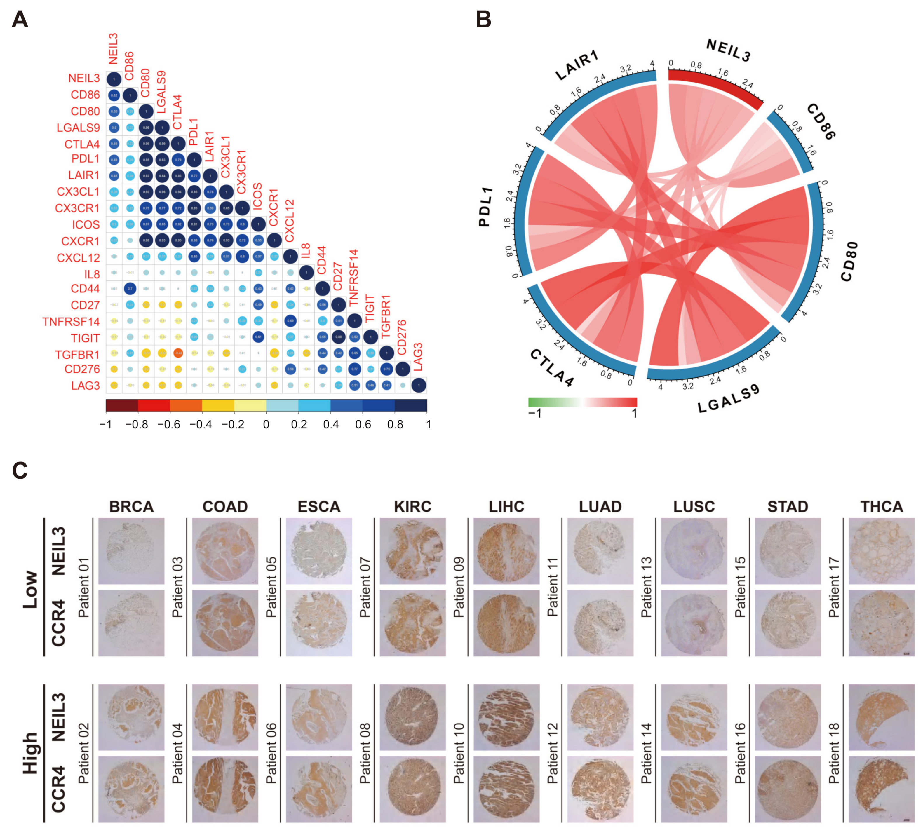 Cancers 15 00109 g007 Cancers 15 00109 g007