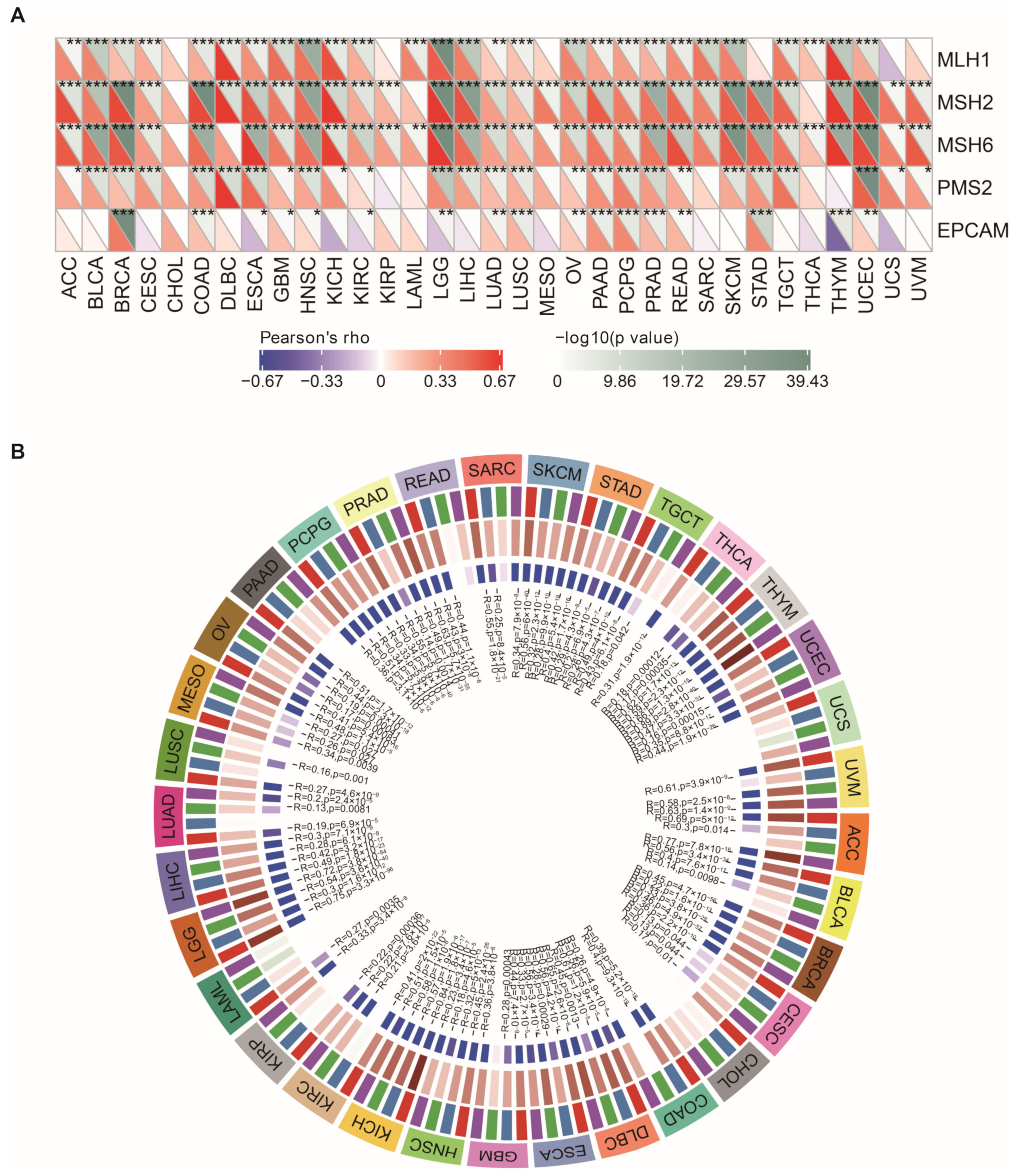 Cancers 15 00109 g009 Cancers 15 00109 g009