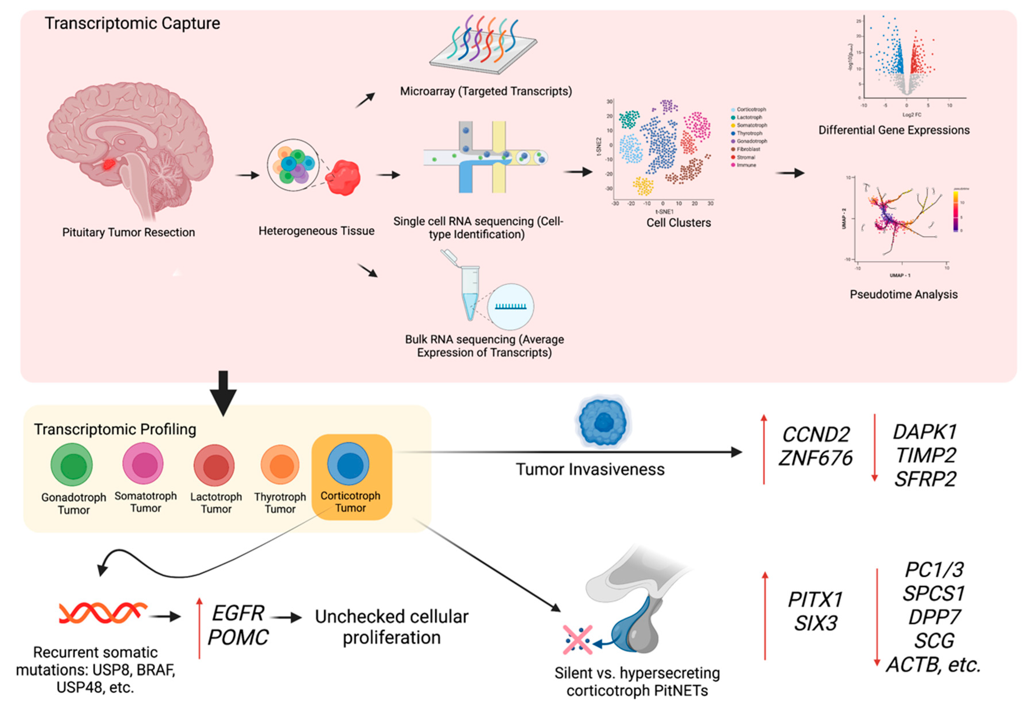 Cancers 15 00110 g002 Cancers 15 00110 g002