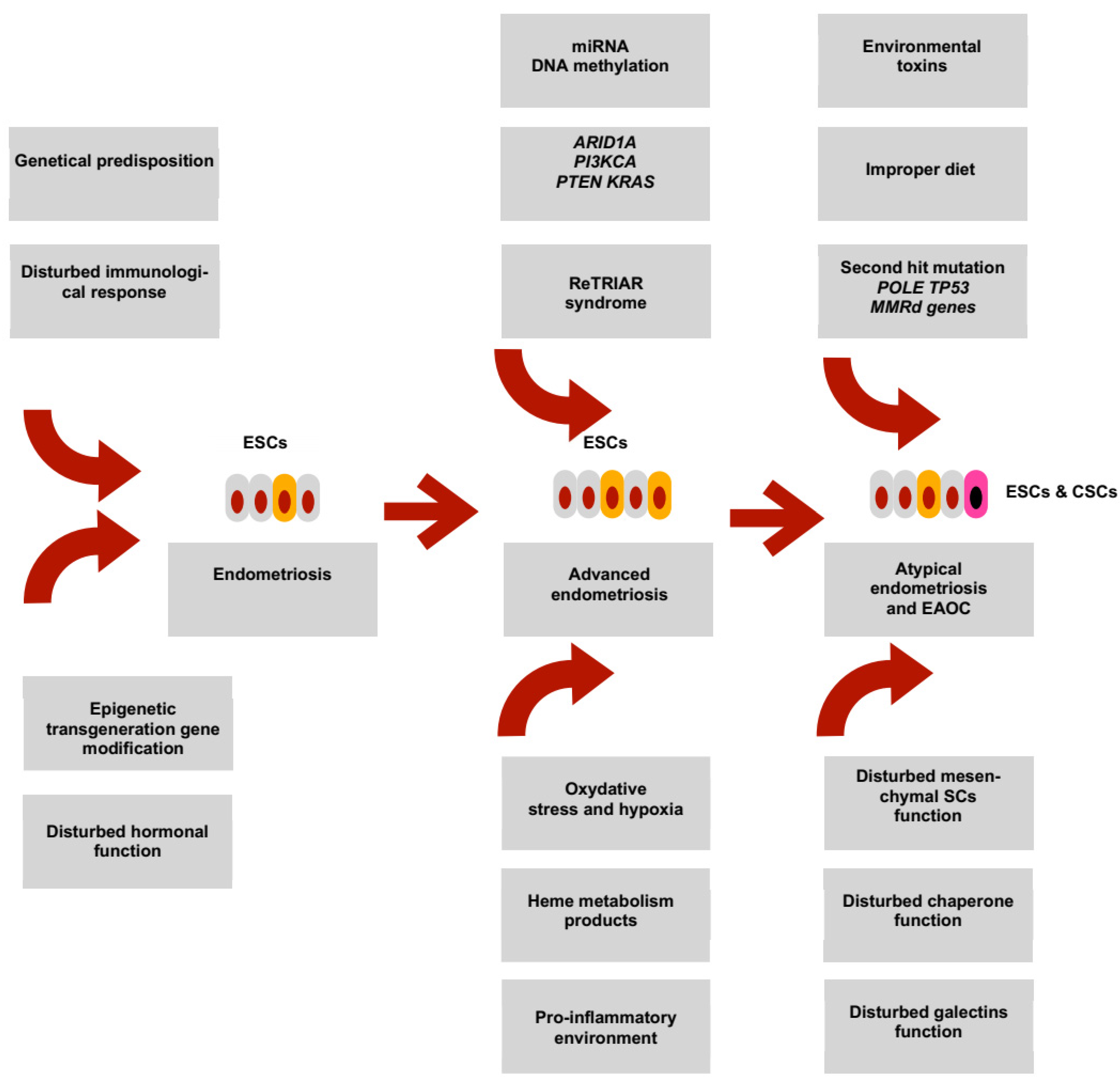 Cancers 15 00111 g002 Cancers 15 00111 g002