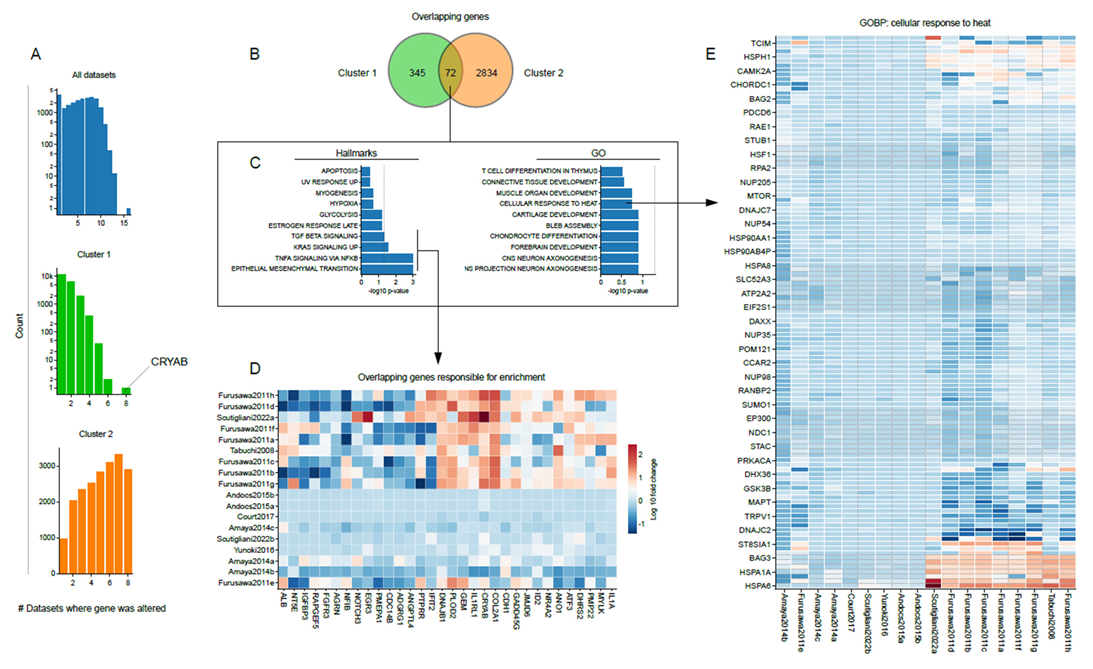 Cancers 15 00113 g003 Cancers 15 00113 g003