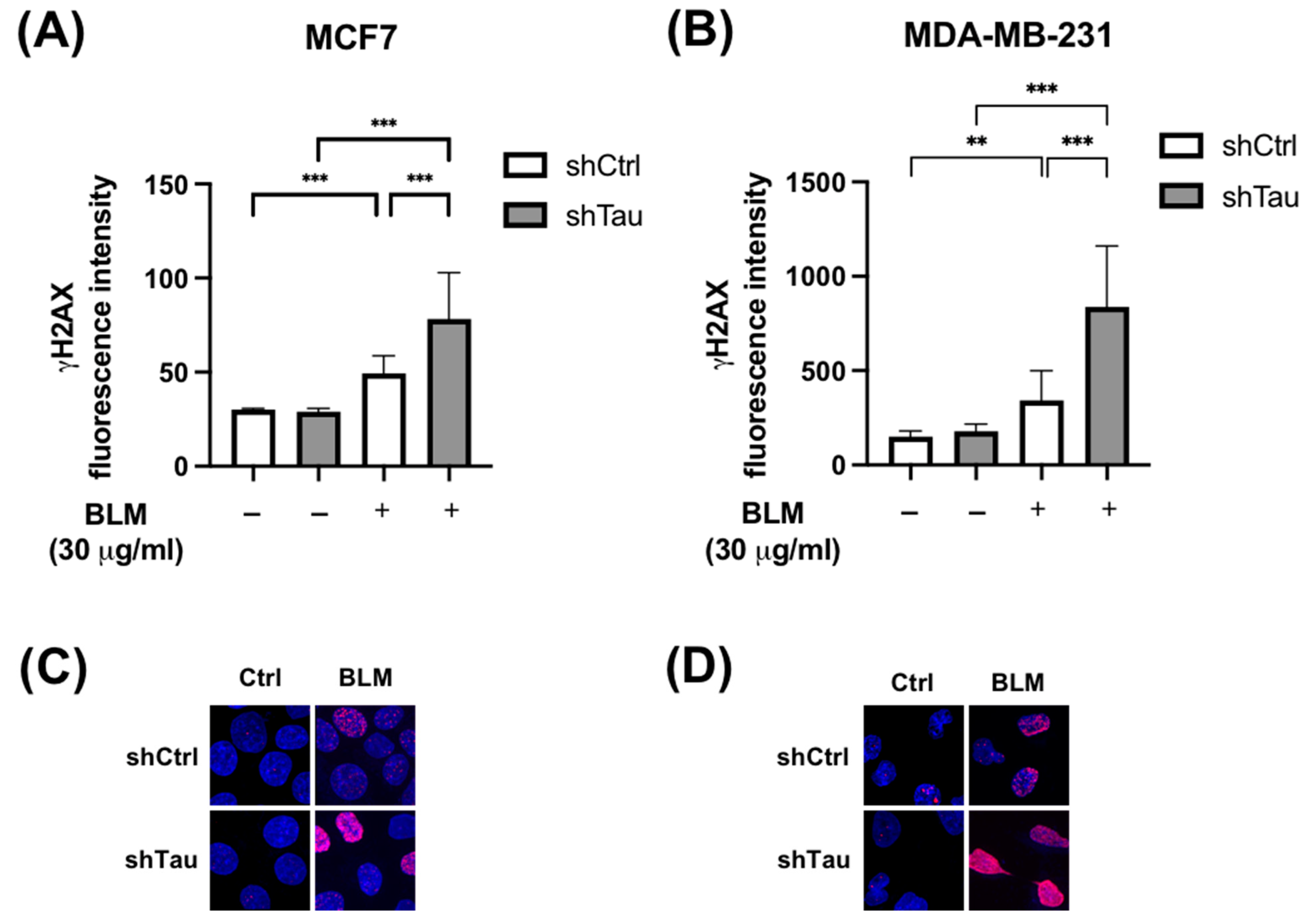 Cancers 15 00116 g001 Cancers 15 00116 g001