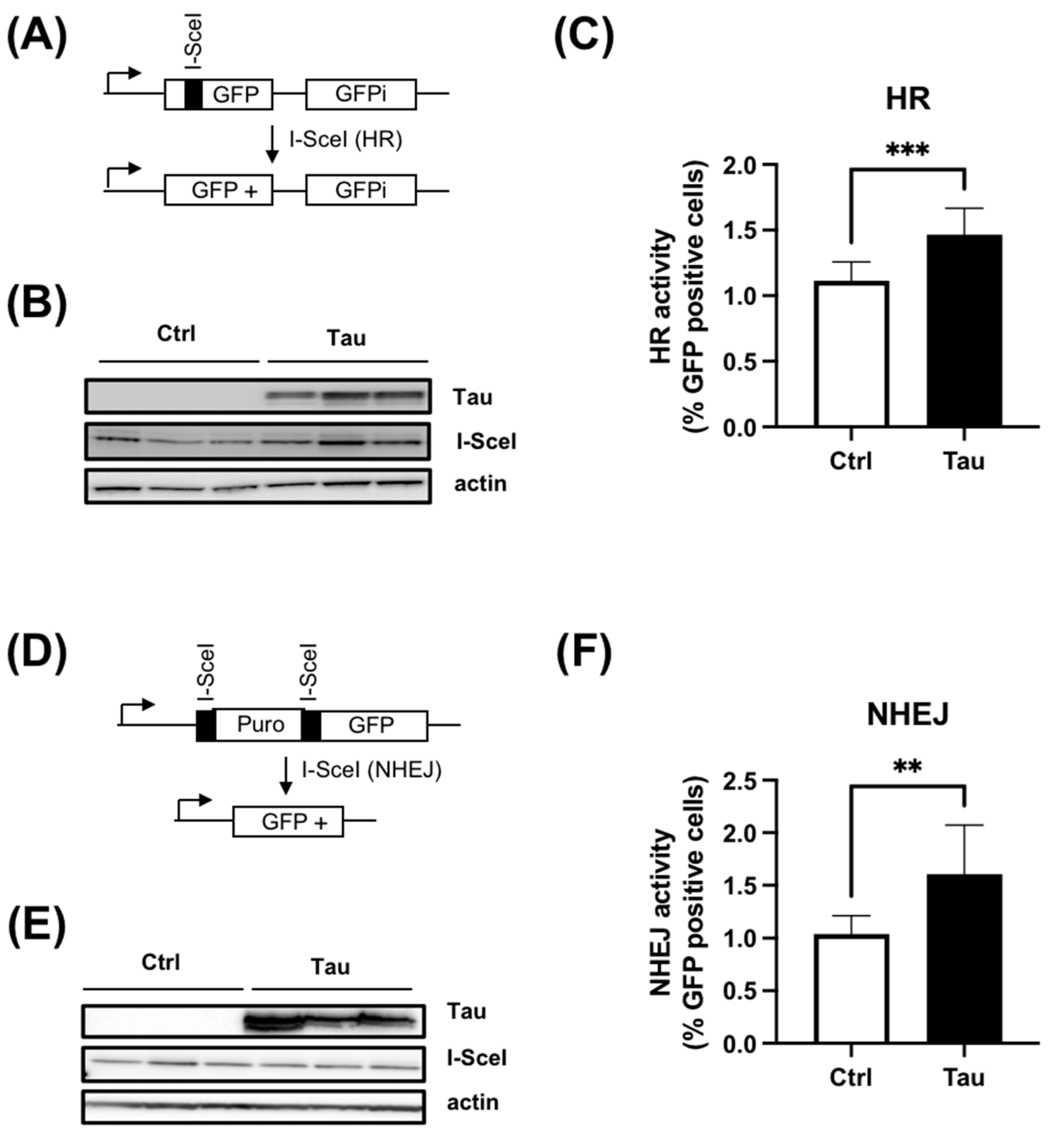 Cancers 15 00116 g004 Cancers 15 00116 g004