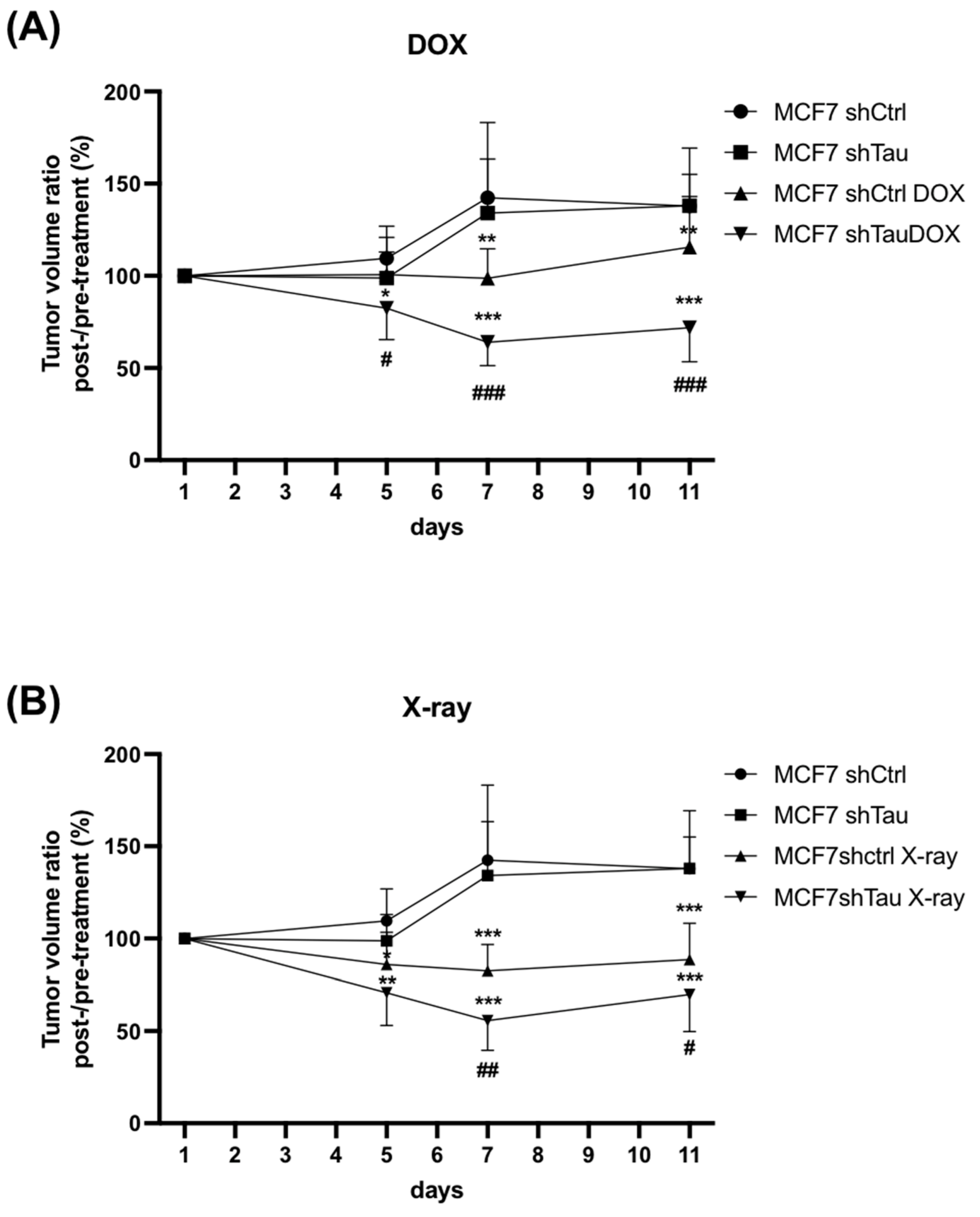 Cancers 15 00116 g005 Cancers 15 00116 g005