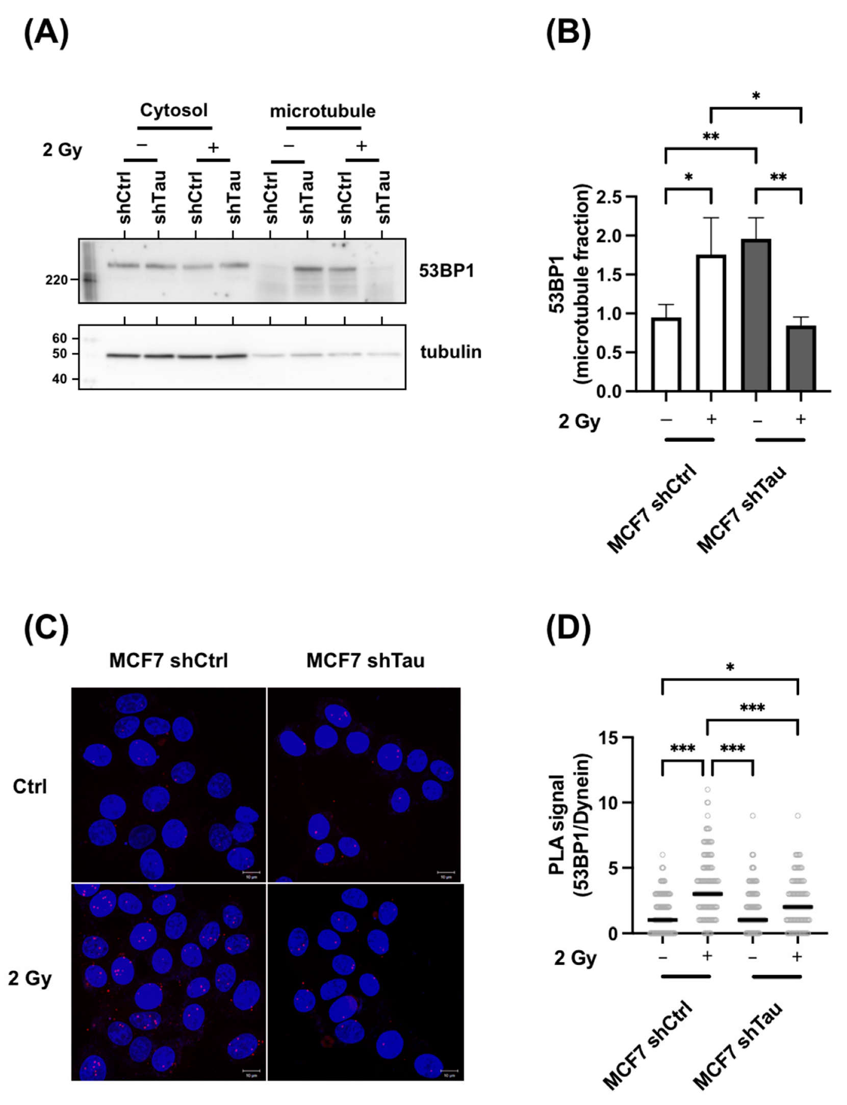 Cancers 15 00116 g007 Cancers 15 00116 g007