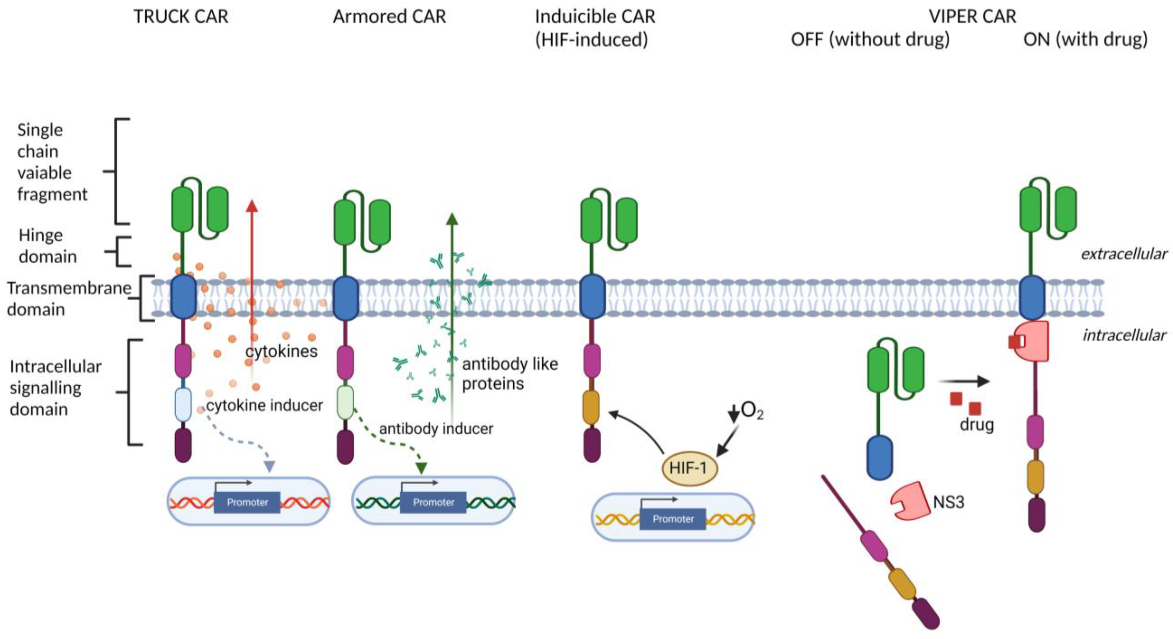 Cancers 15 00117 g002 Cancers 15 00117 g002