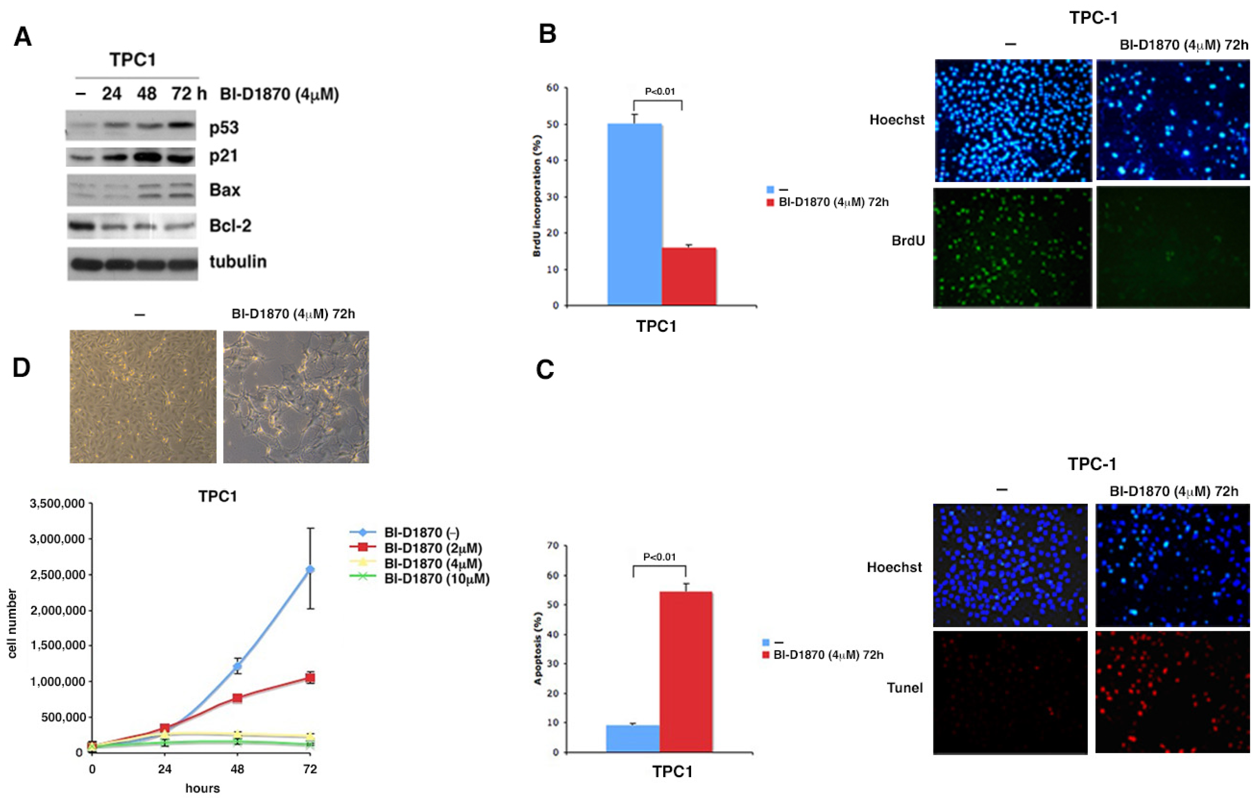 Cancers 15 00121 g005 Cancers 15 00121 g005