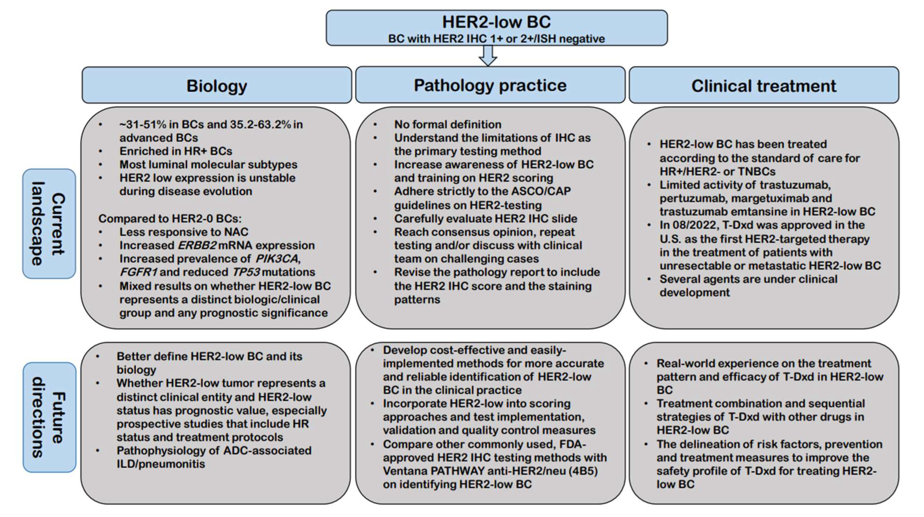 Cancers 15 00126 g003