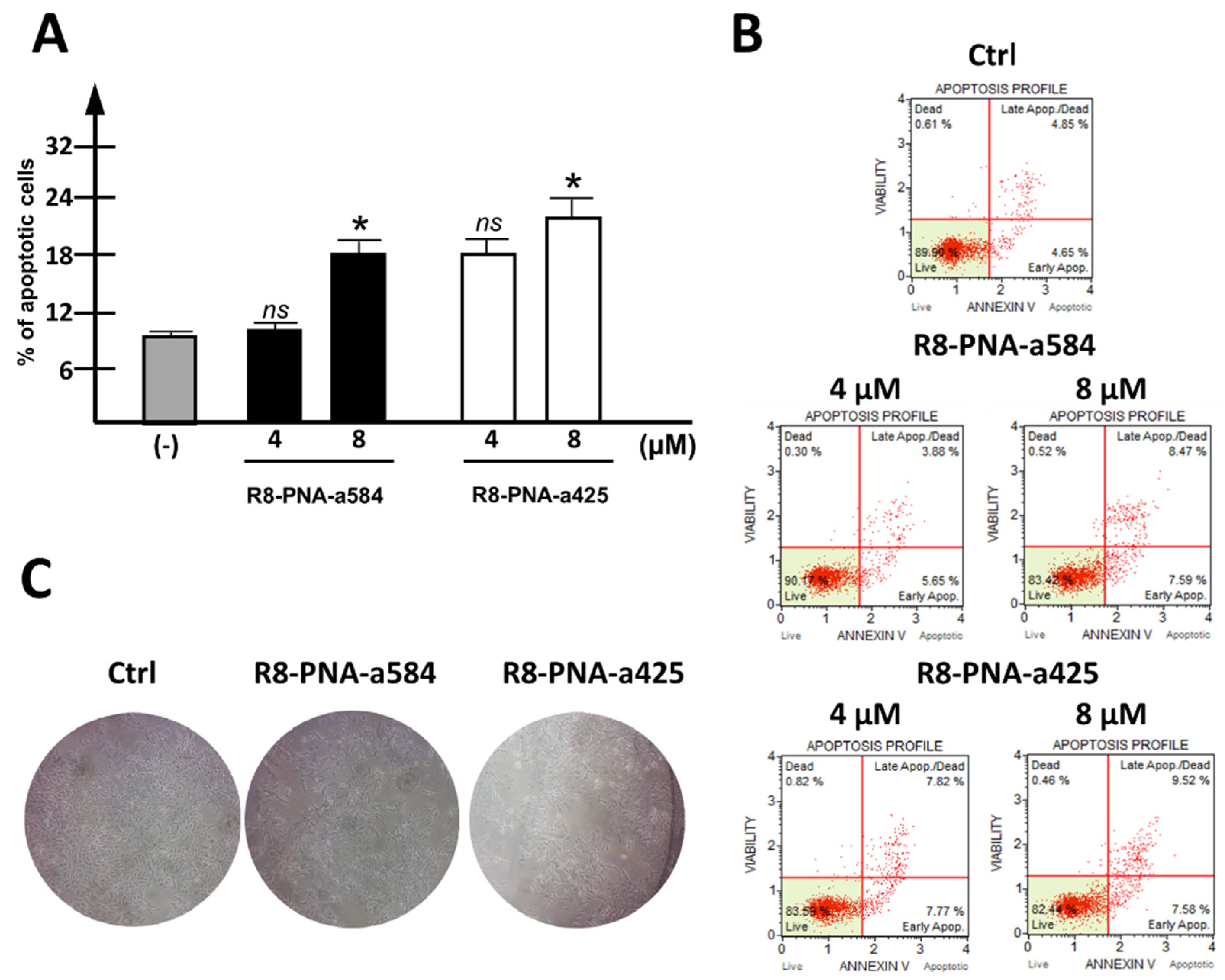 Cancers 15 00128 g003