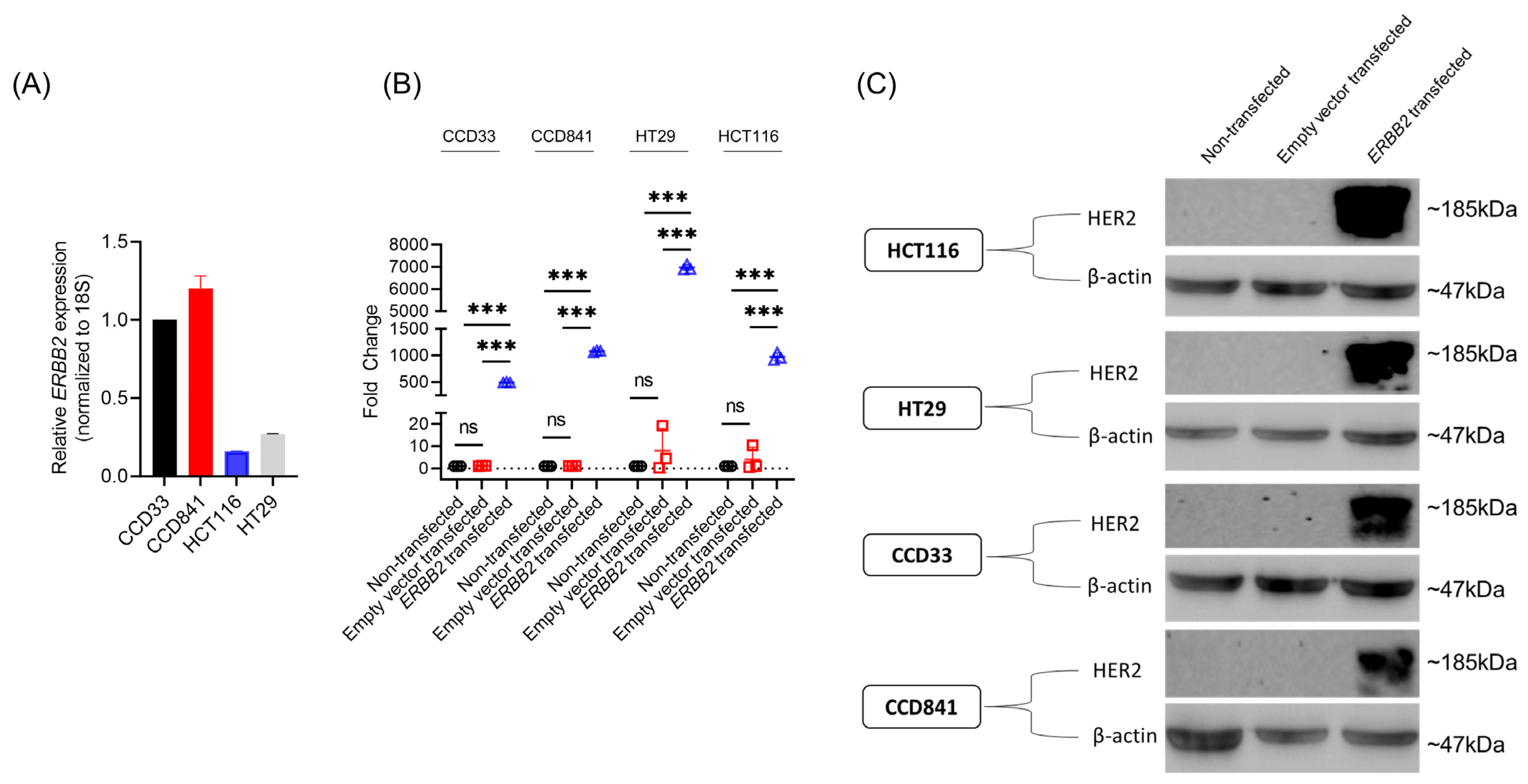 Cancers 15 00130 g001