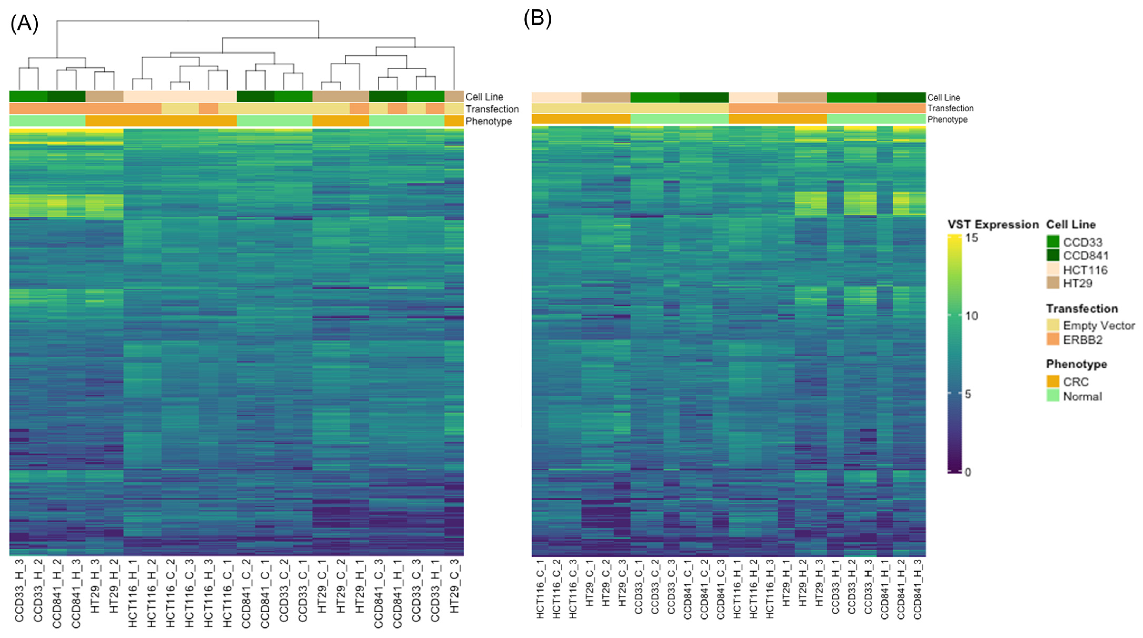 Cancers 15 00130 g002