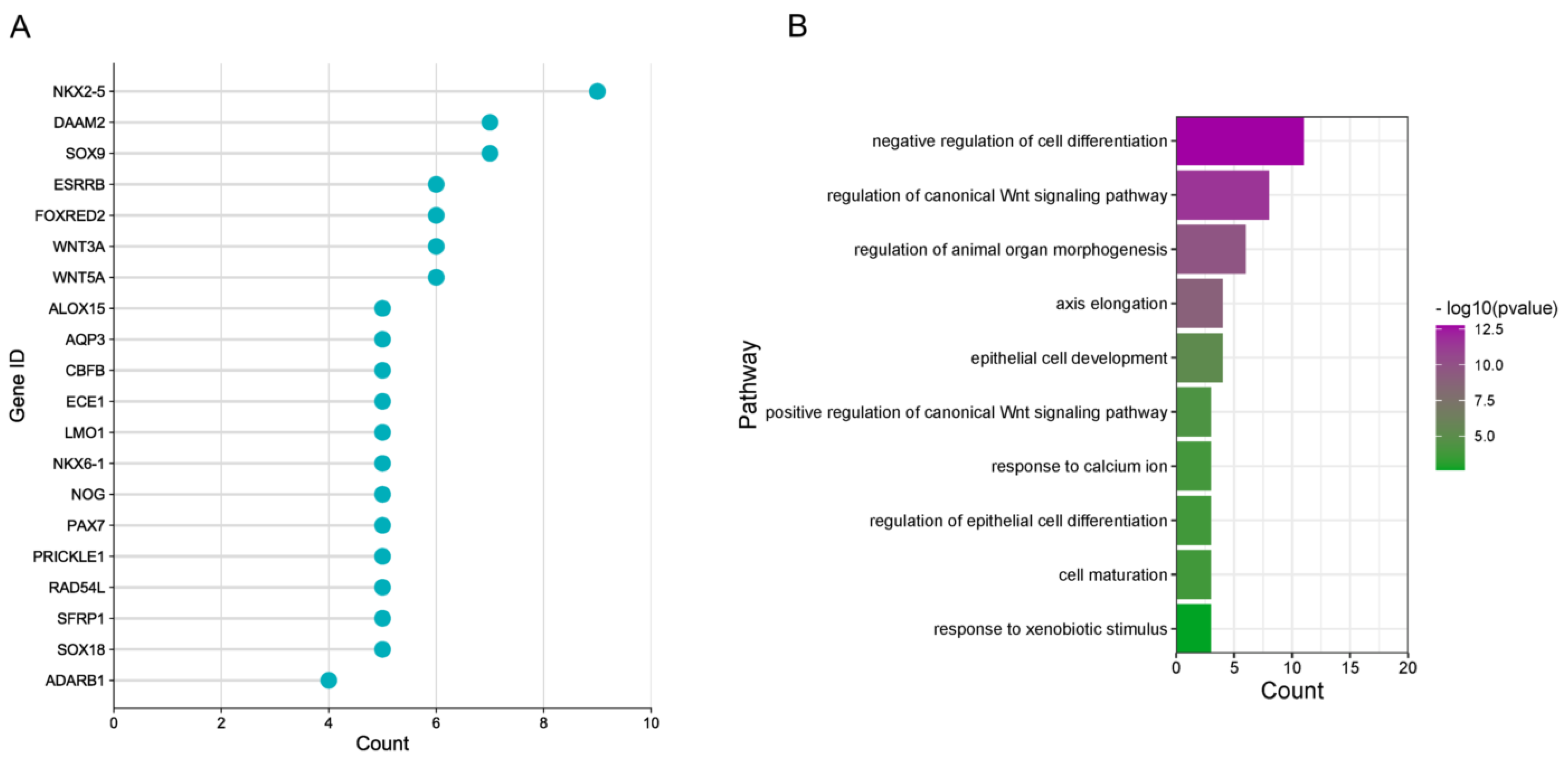 Cancers 15 00130 g005